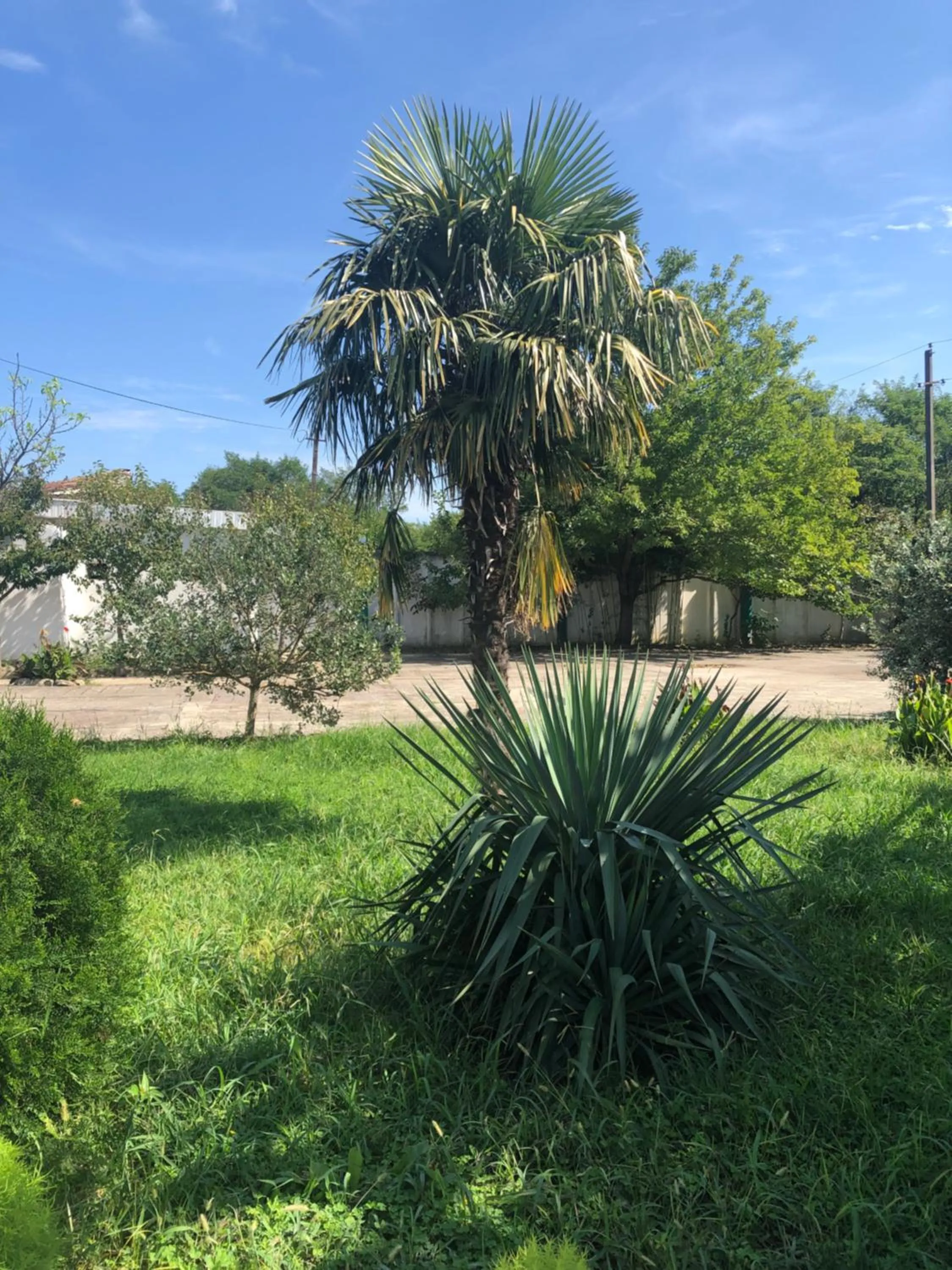 Garden in Europa Hotel-Kutaisi