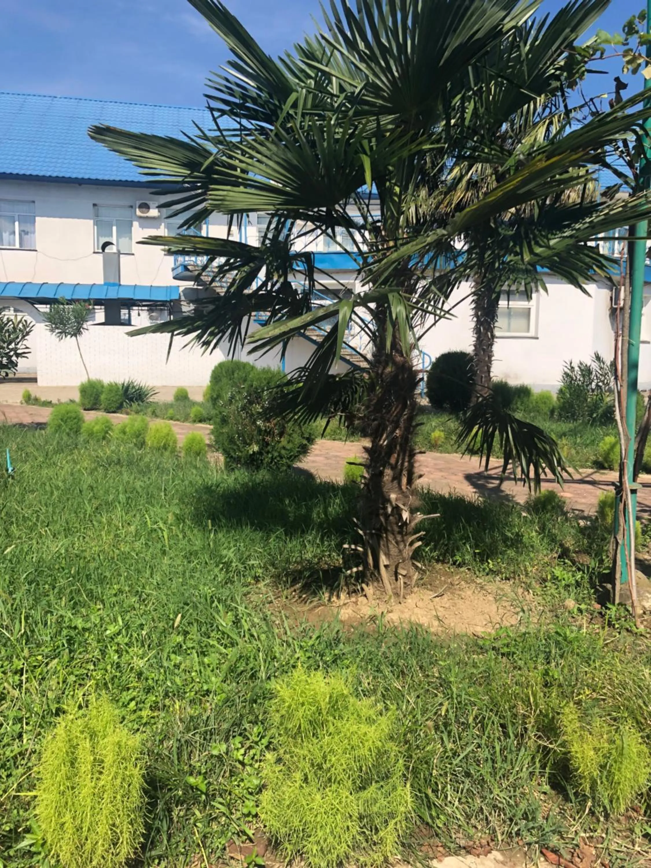 Property building in Europa Hotel-Kutaisi