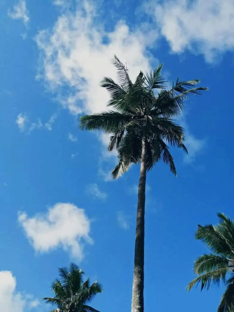 The Villa Luxury Suites Hotel