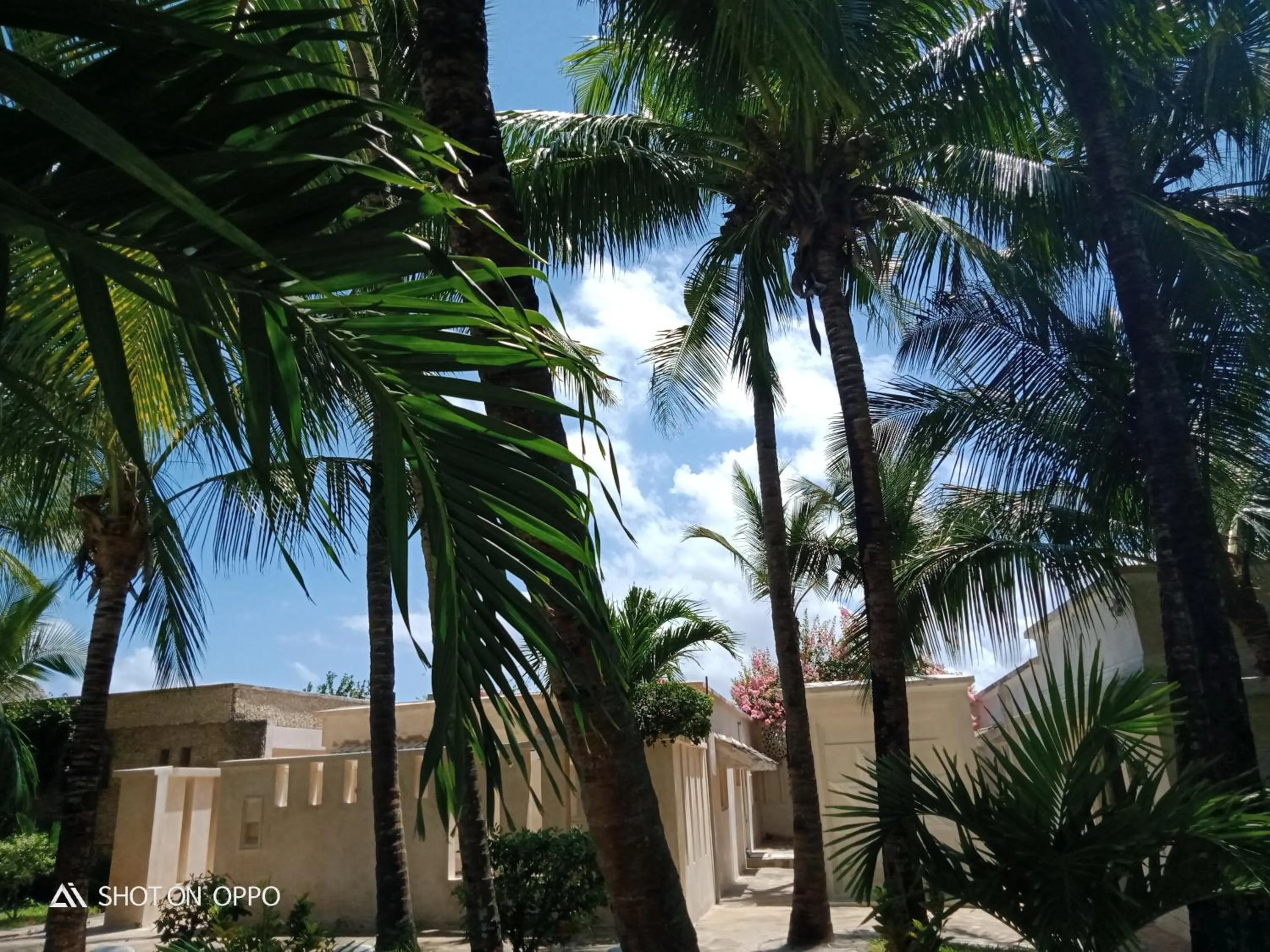 The Villa Luxury Suites Hotel