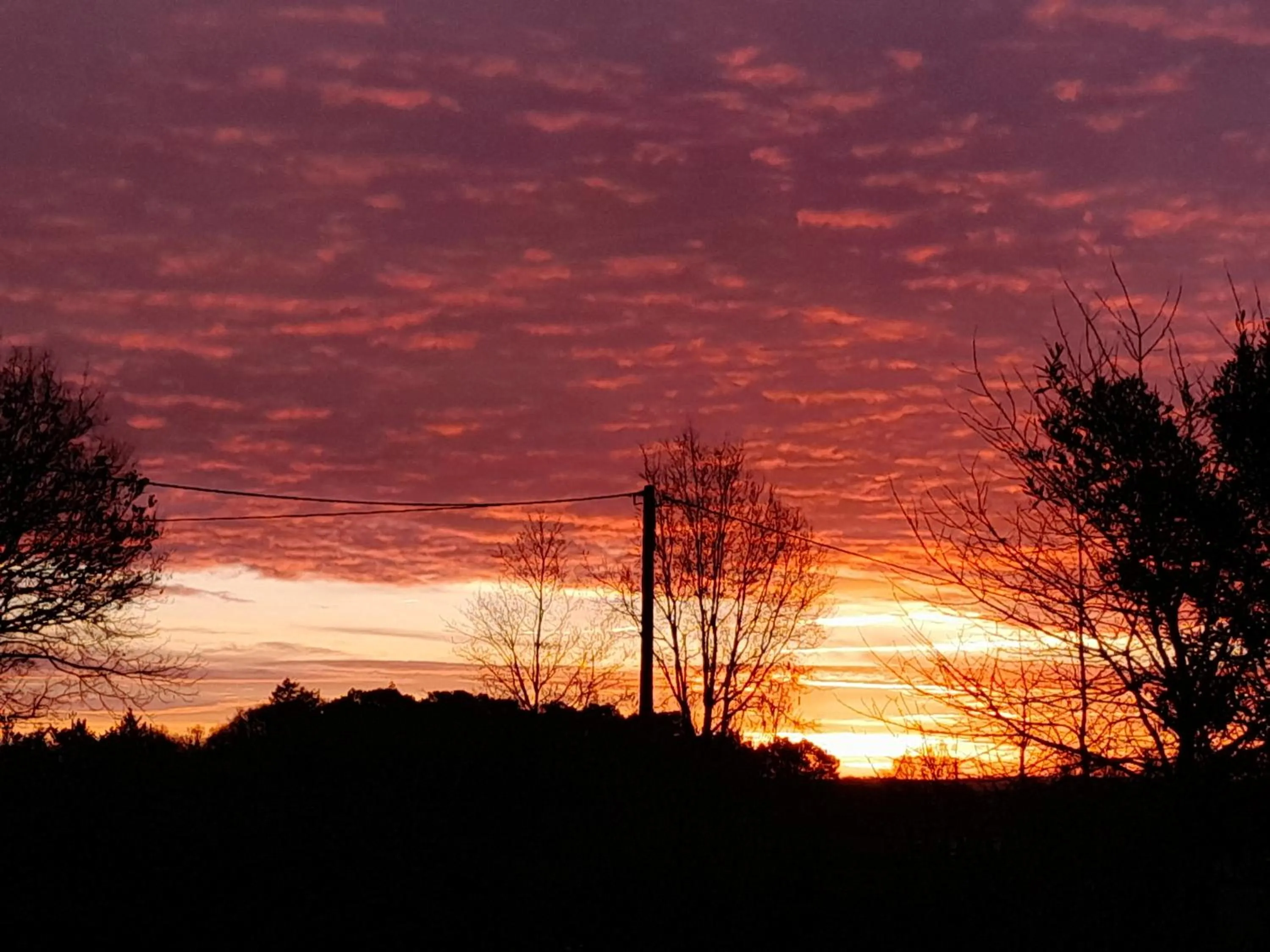Chambre d'hôtes Les Bruyères