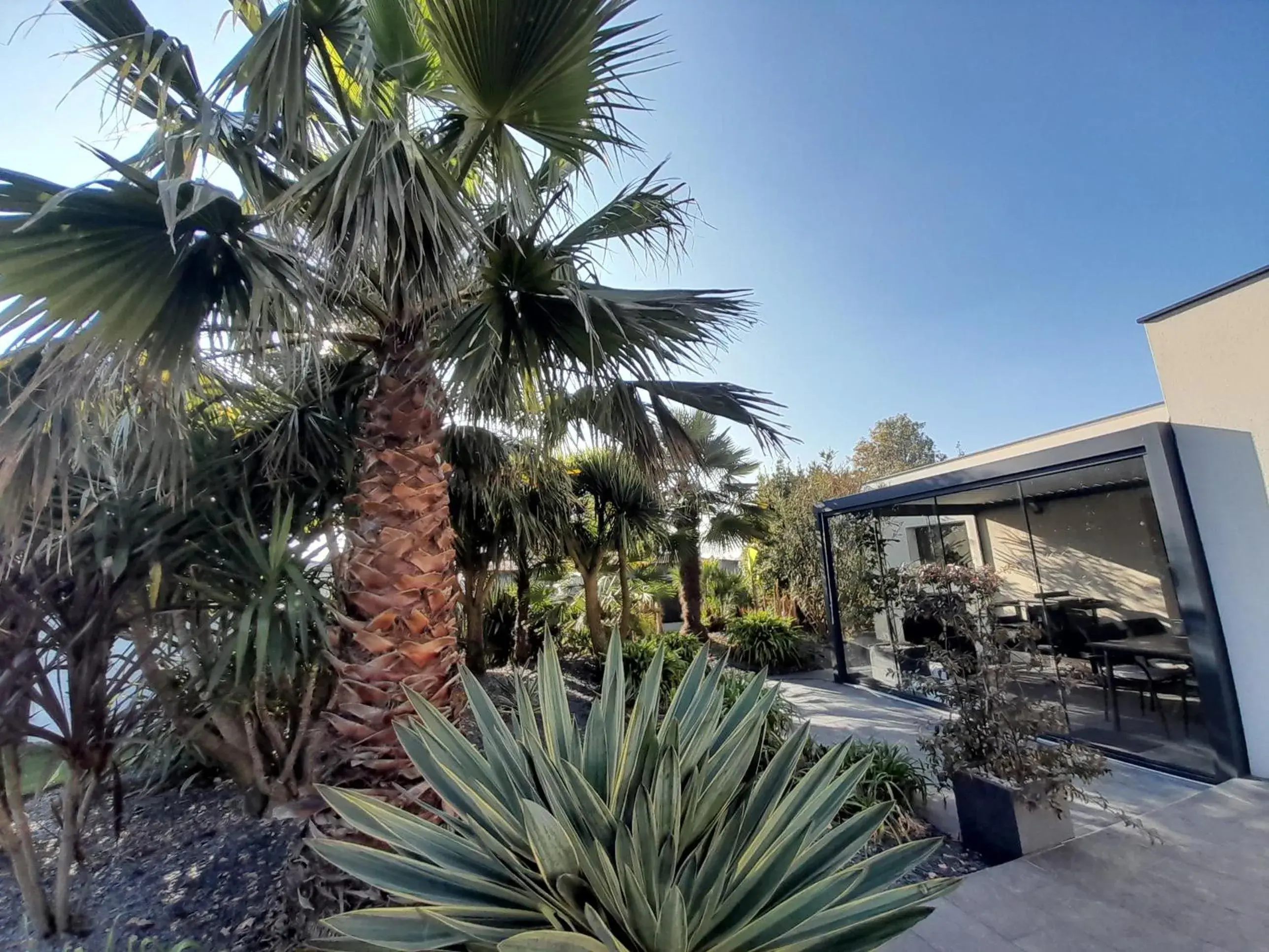 Double Room in Chambre d'hôtes Les Bruyères Double Room in Chambre d'hôtes Les Bruyères