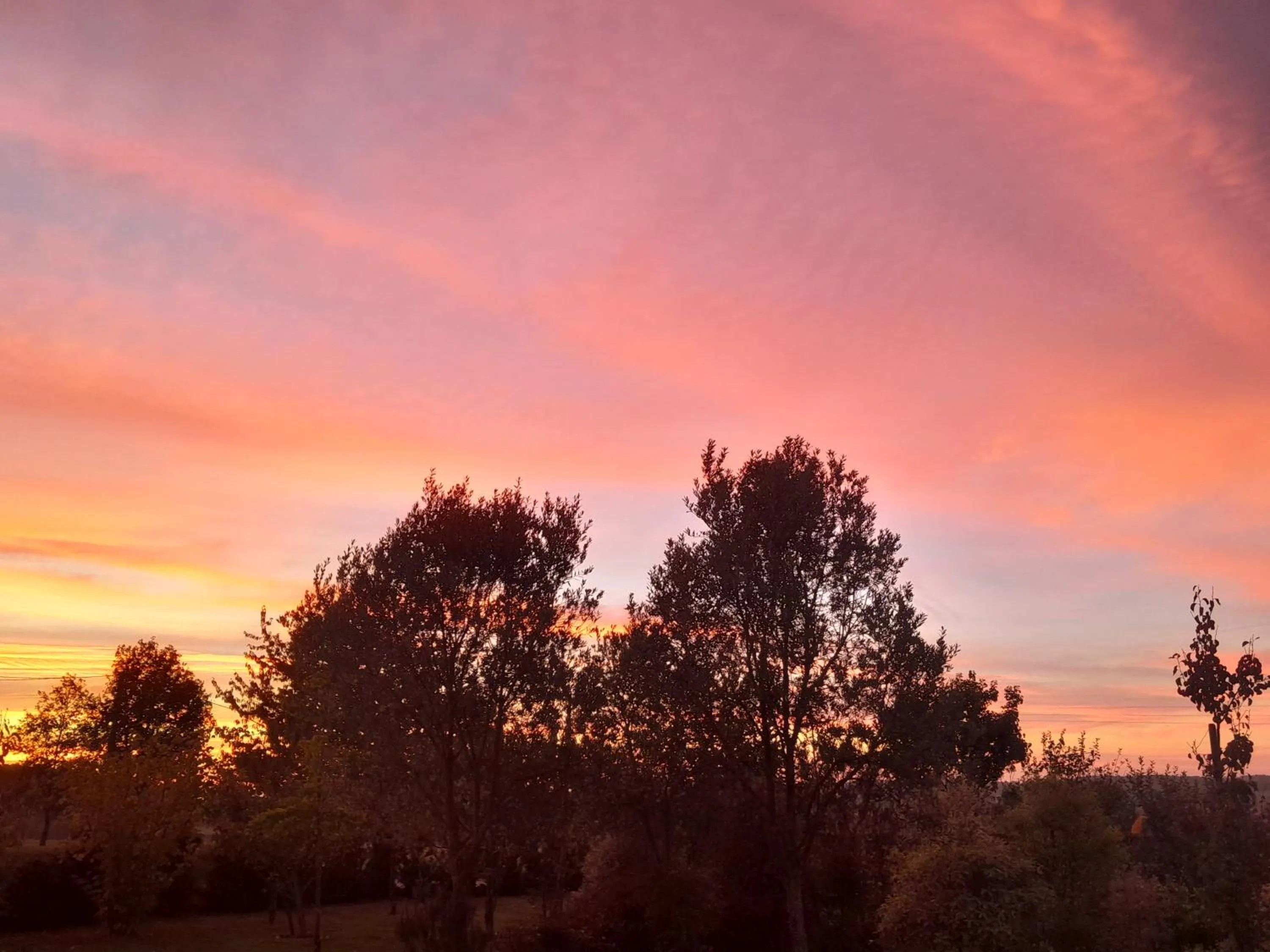 Chambre d'hôtes Les Bruyères
