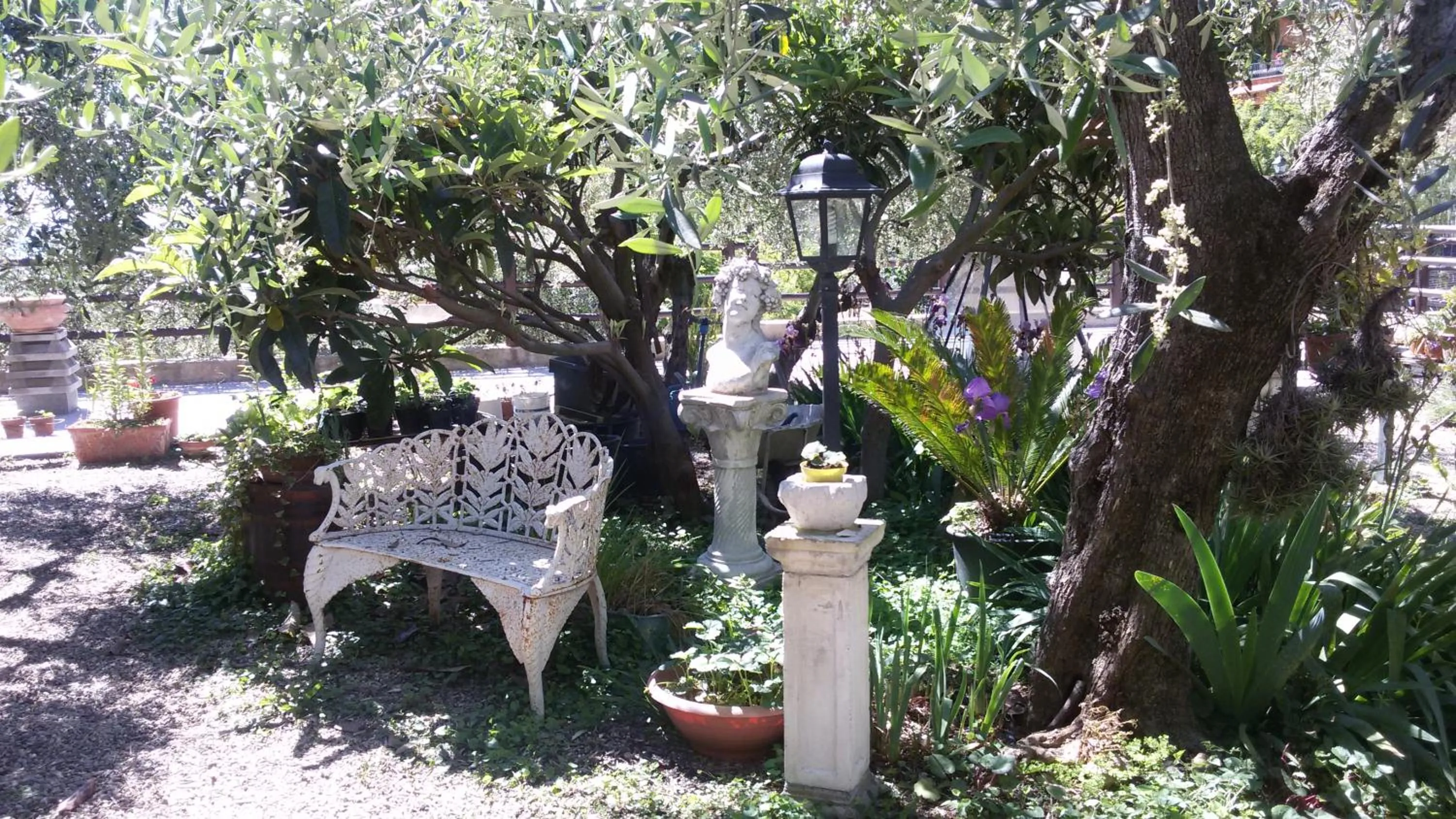 Patio in Locanda Dei Boi