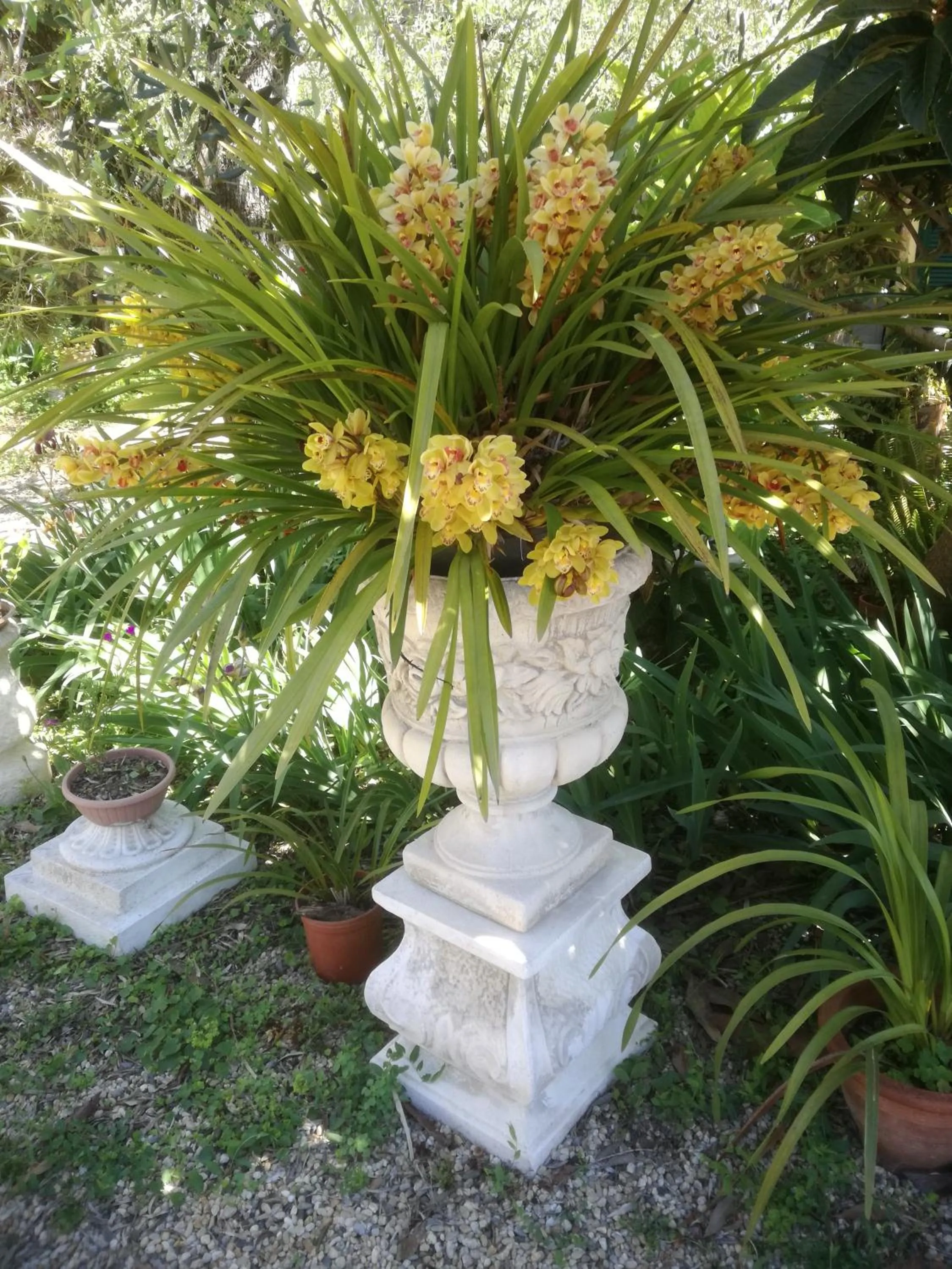 Garden in Locanda Dei Boi