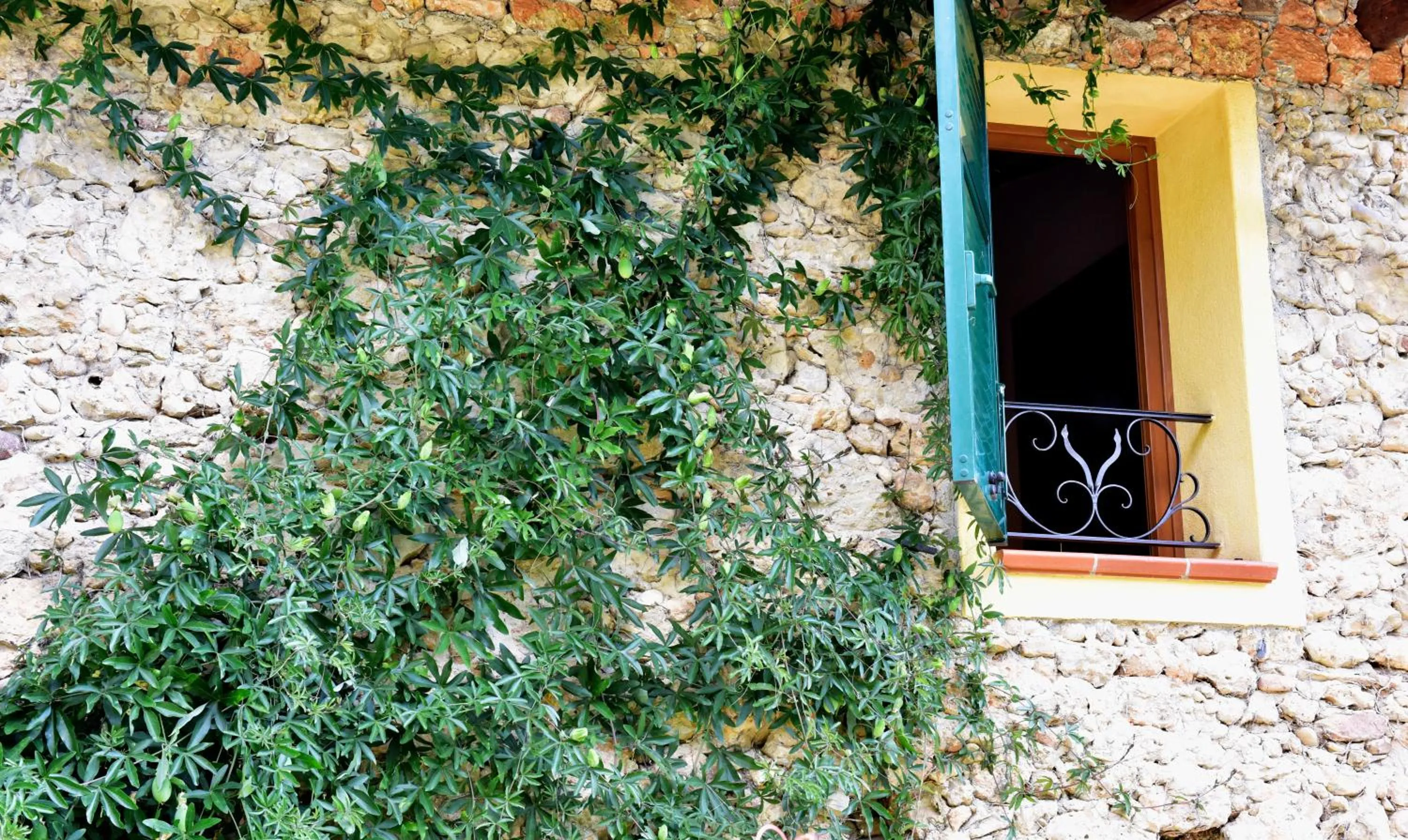 Property building in Locanda Dei Boi