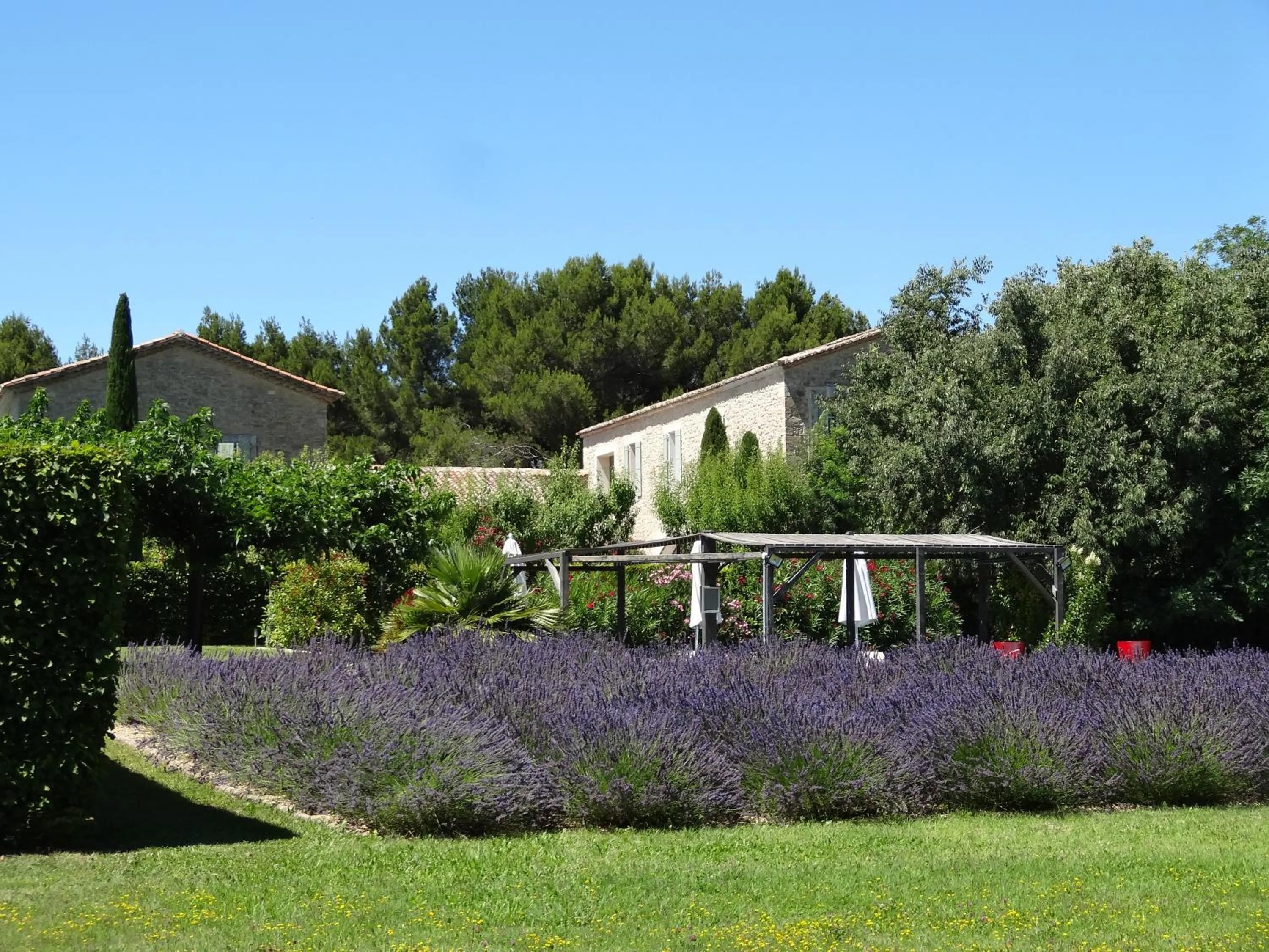 Garden view in La Cour Des Sens