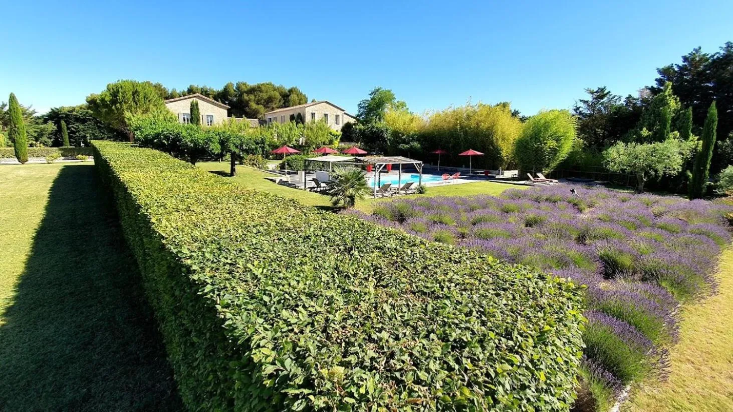 Garden in La Cour Des Sens