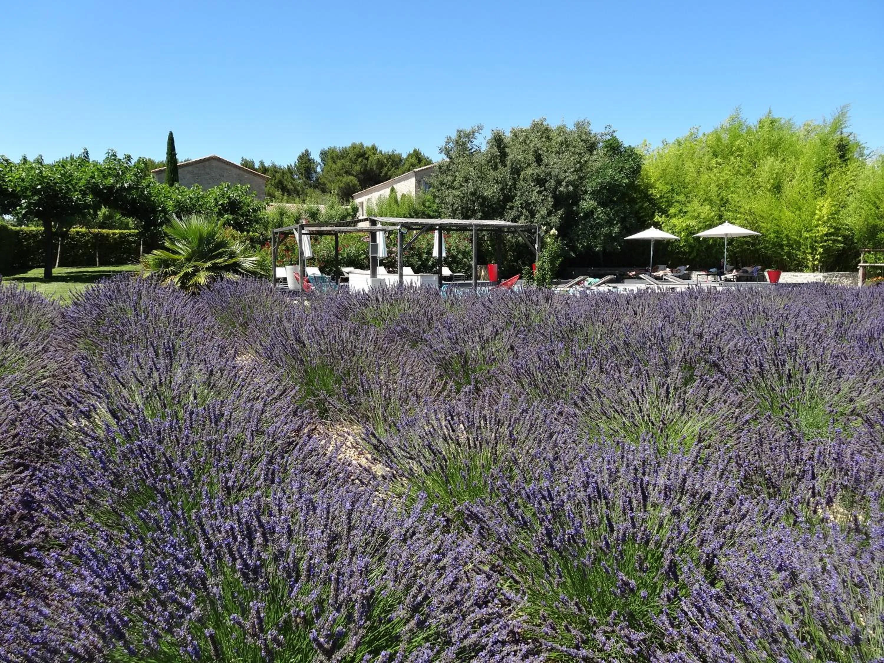 Natural landscape in La Cour Des Sens