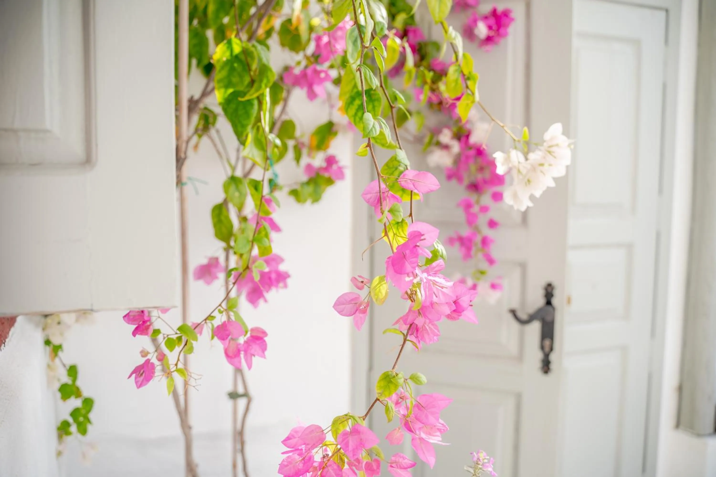 Staff in Kampanario Luxury Two-Bedroom Villa with Private Jacuzzi