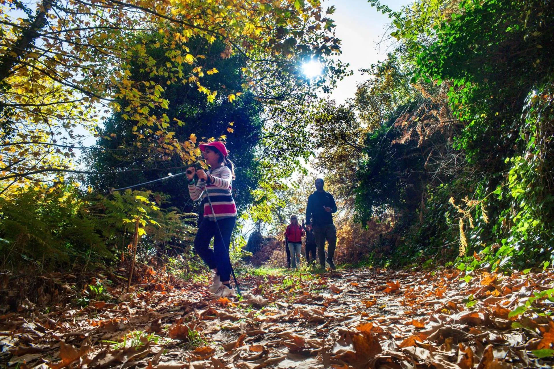 Archontiko Fiamegou Hotel&Spa