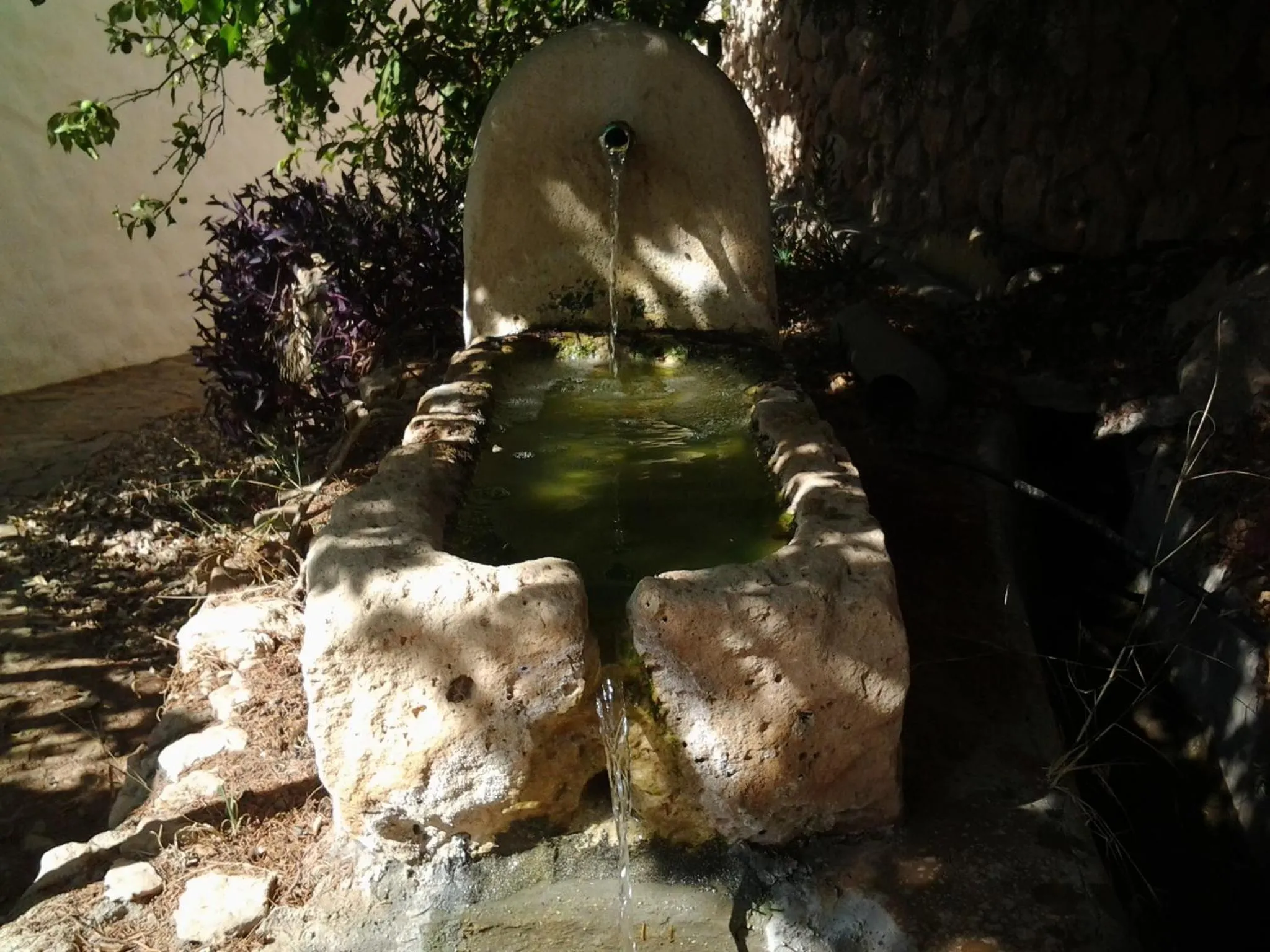Facade/entrance in Casa Rural Cortijo La Alberca