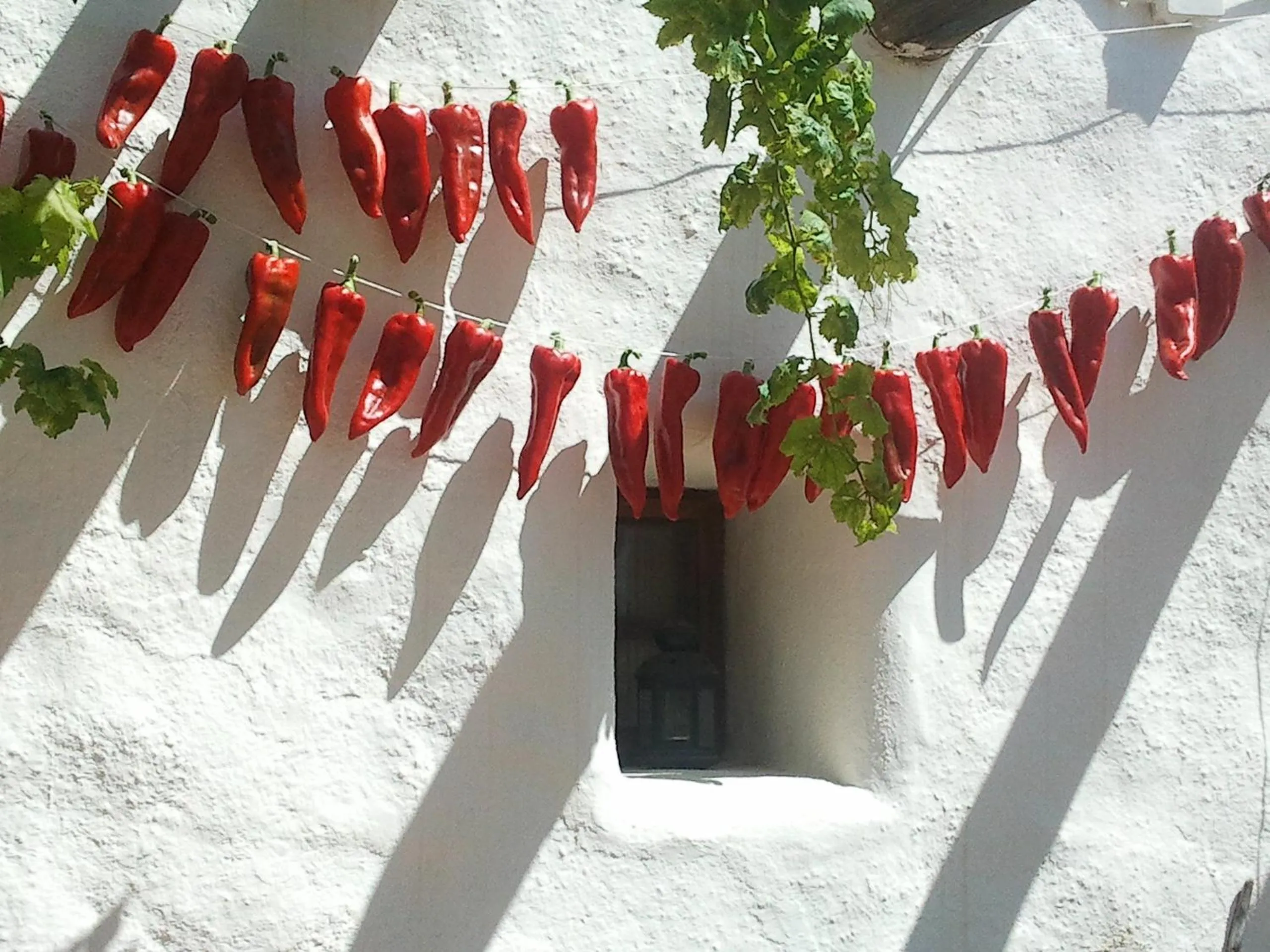 Facade/entrance in Casa Rural Cortijo La Alberca