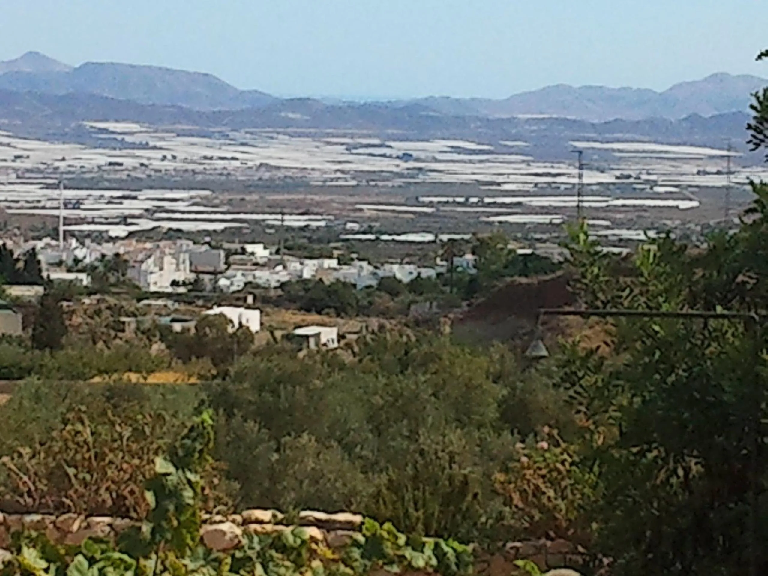 Area and facilities in Casa Rural Cortijo La Alberca