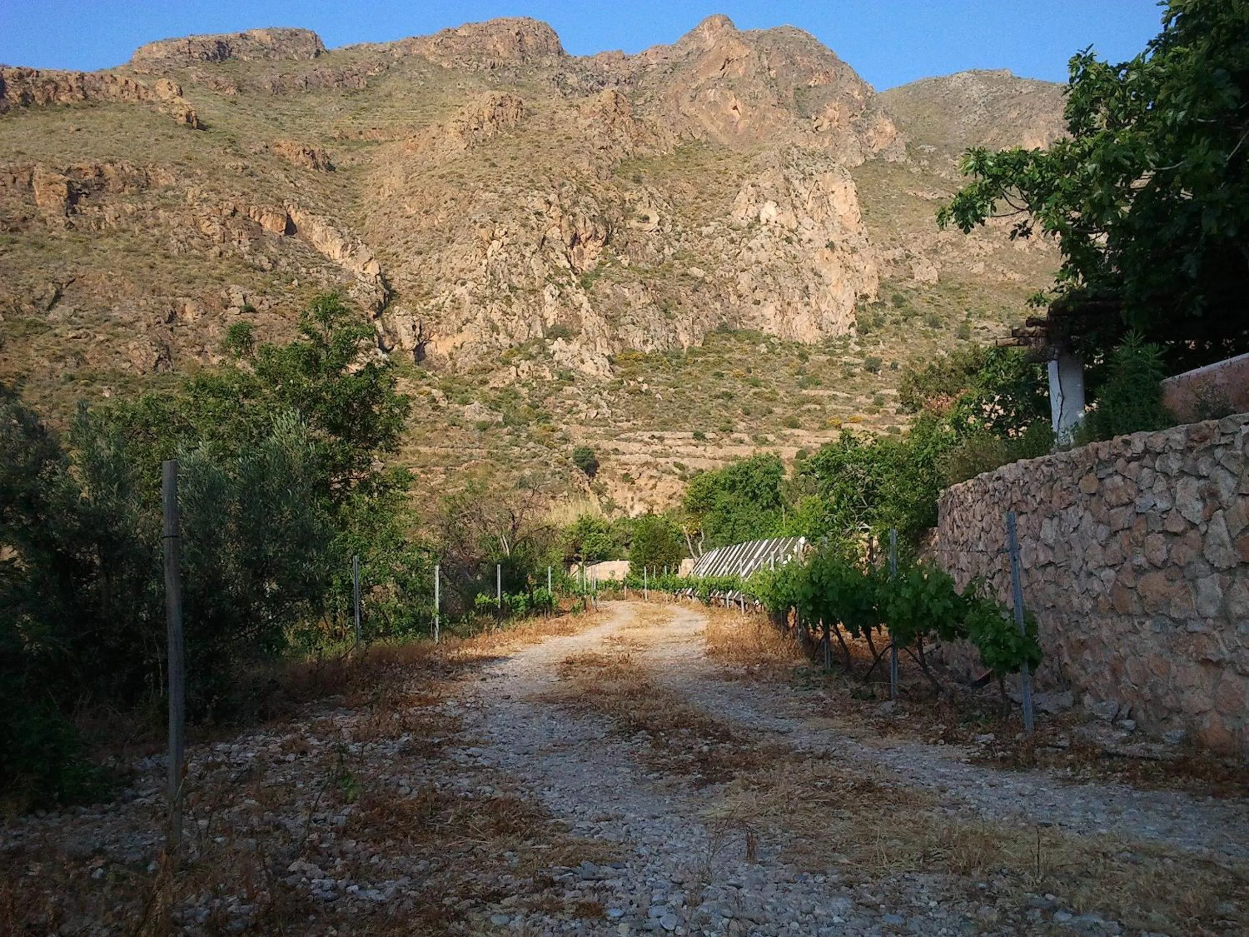 Facade/entrance in Casa Rural Cortijo La Alberca