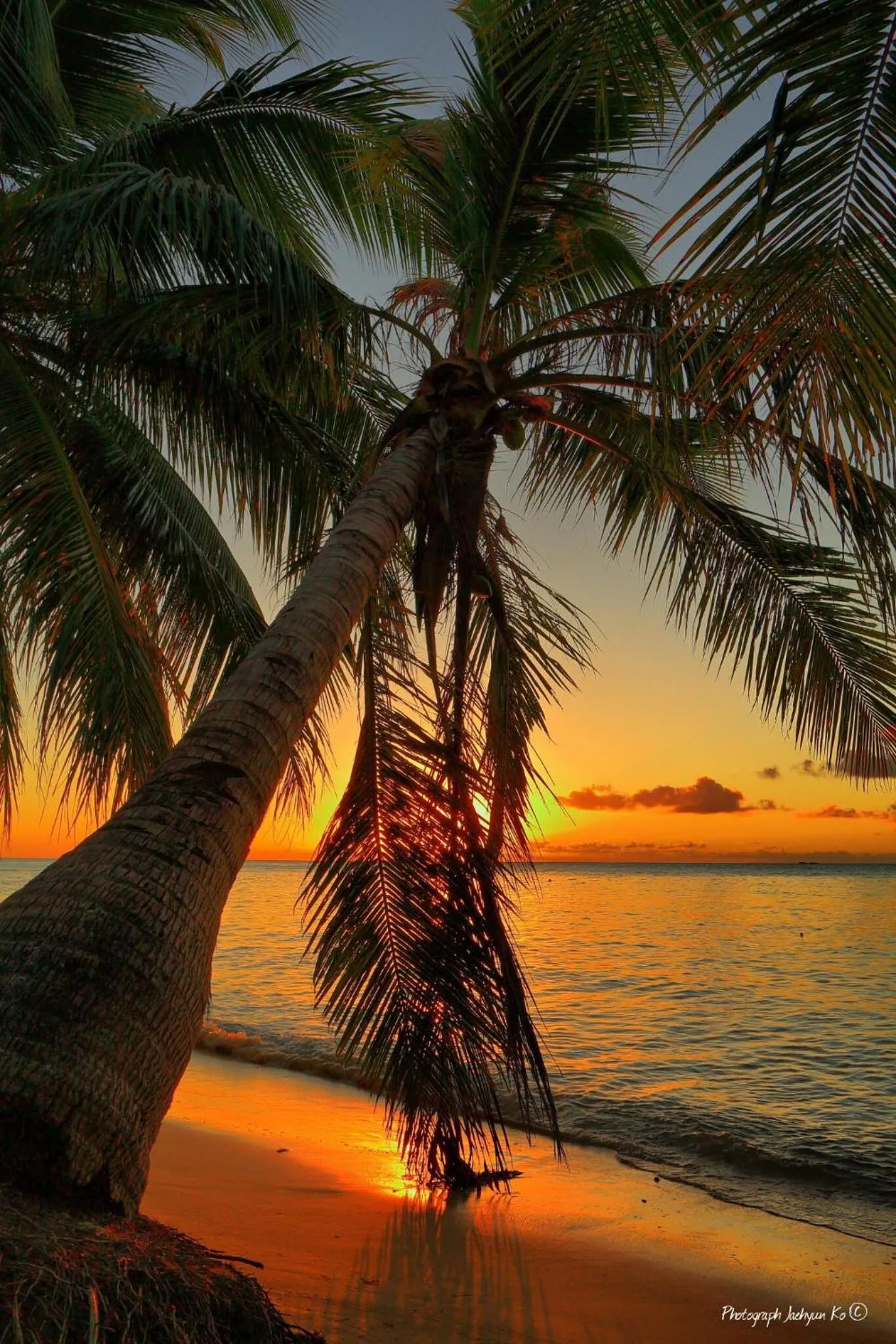 Beach in Beach Garden Hotel
