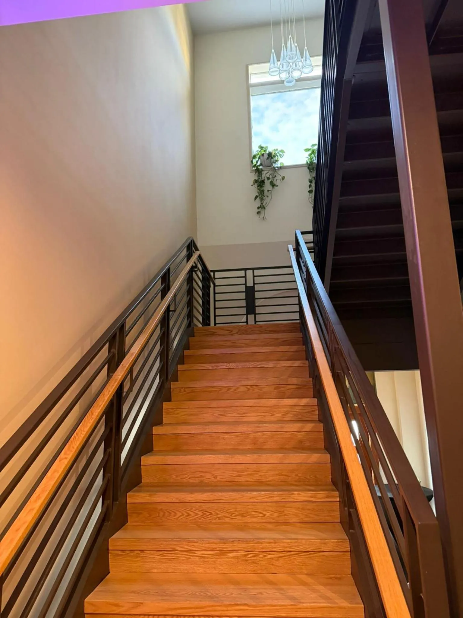 Lobby or reception in Unicorn Zebra