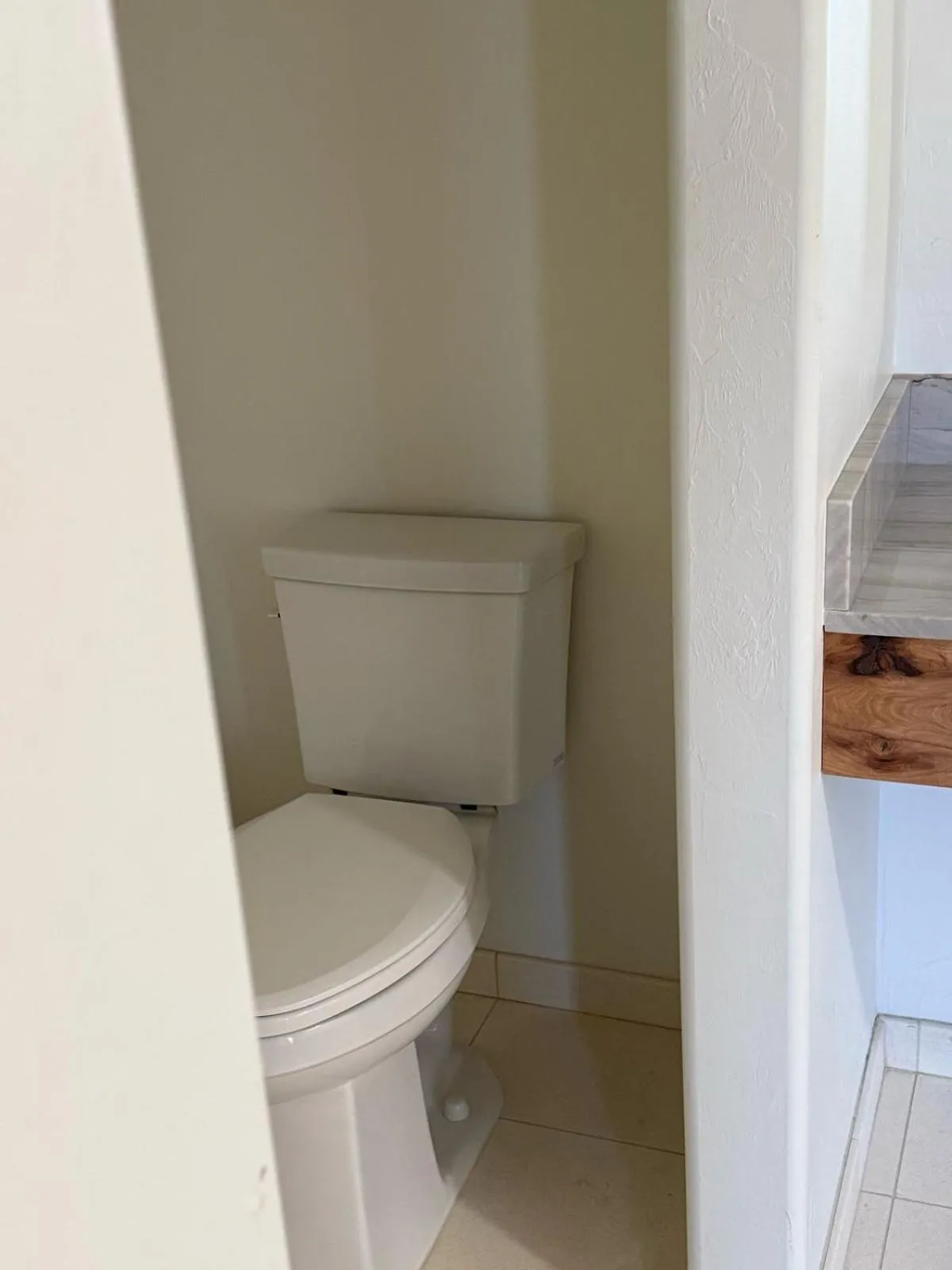 Toilet in Unicorn Zebra