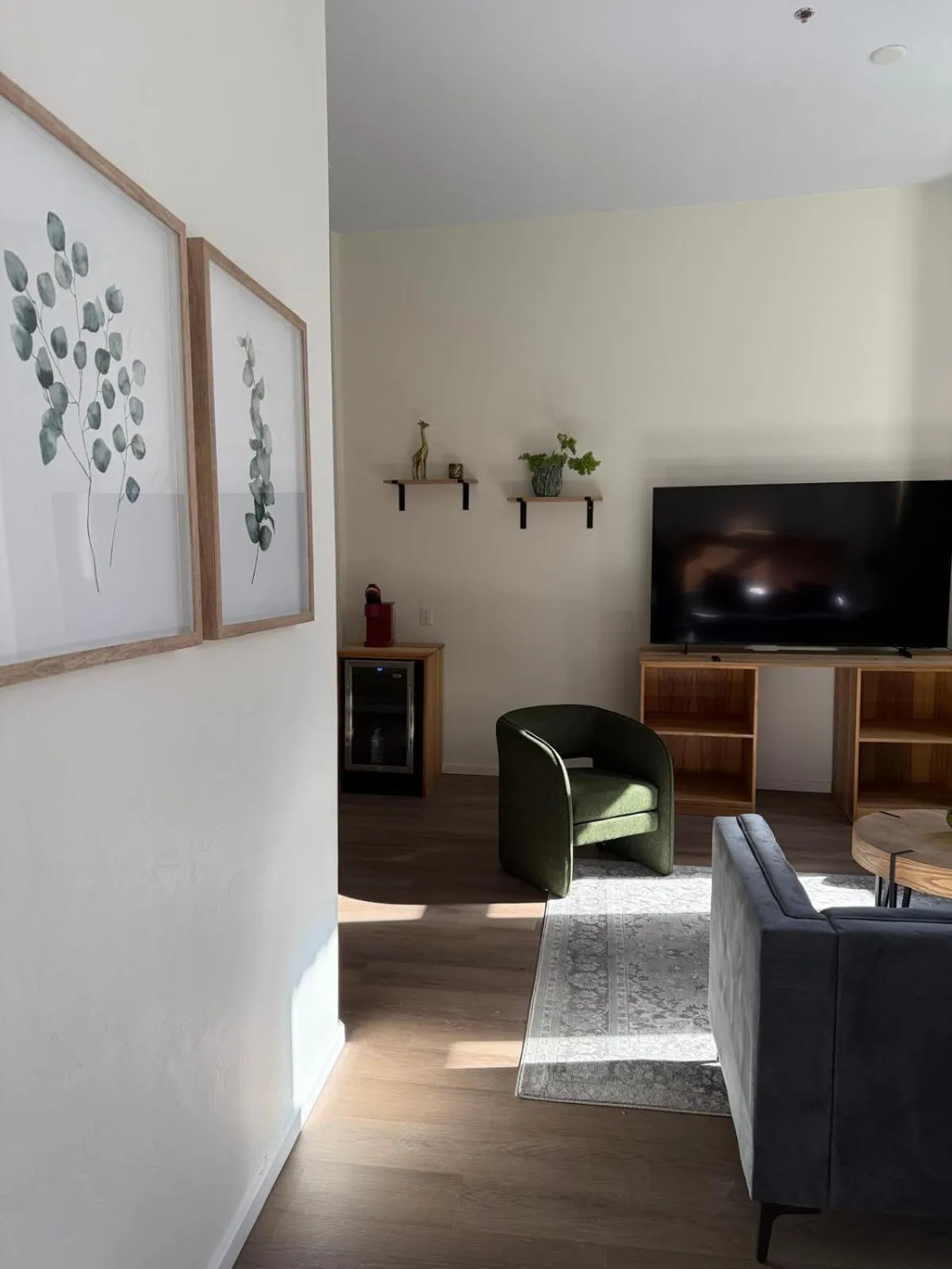 TV and multimedia in Unicorn Zebra