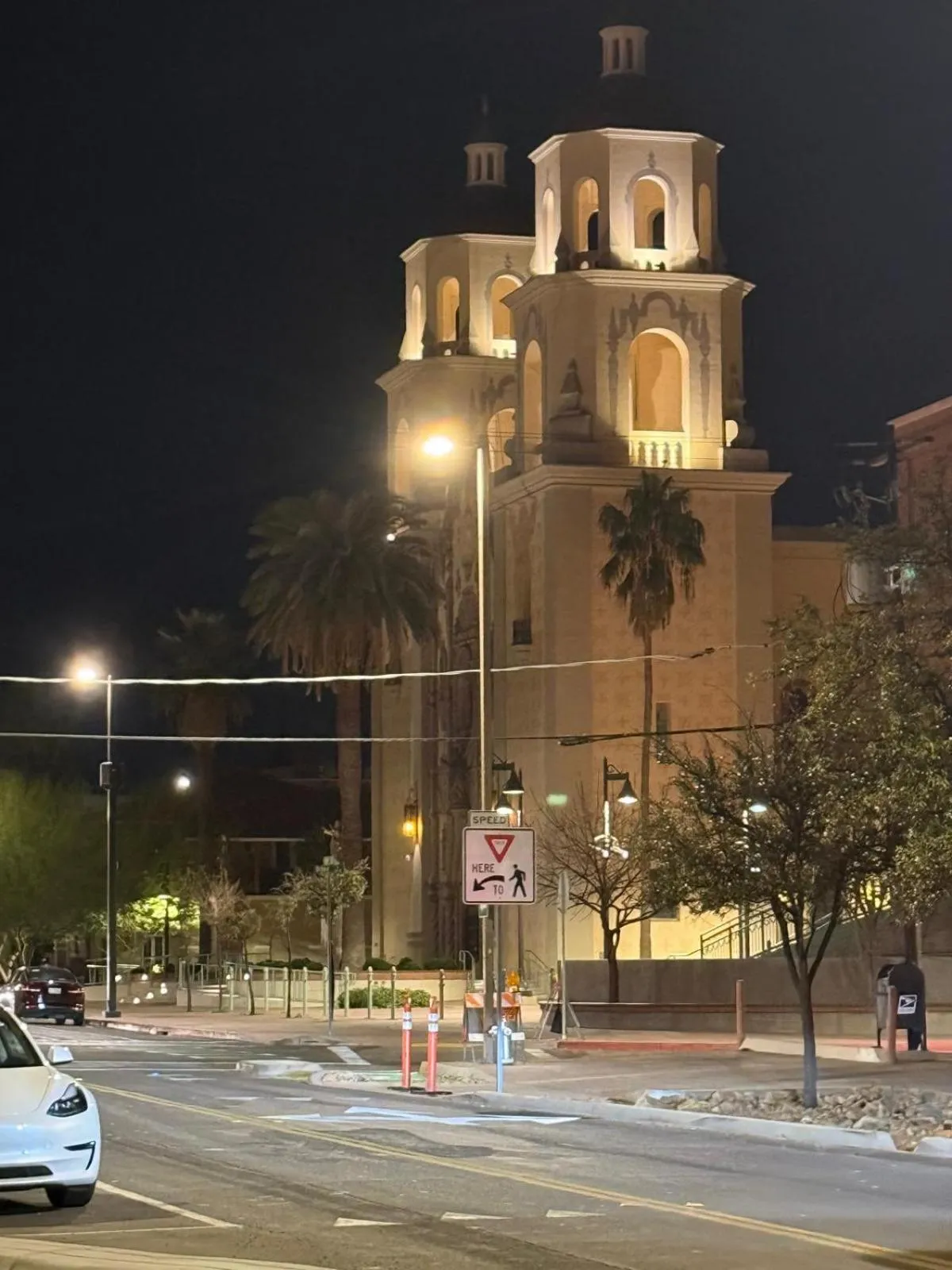 Night in Unicorn Zebra