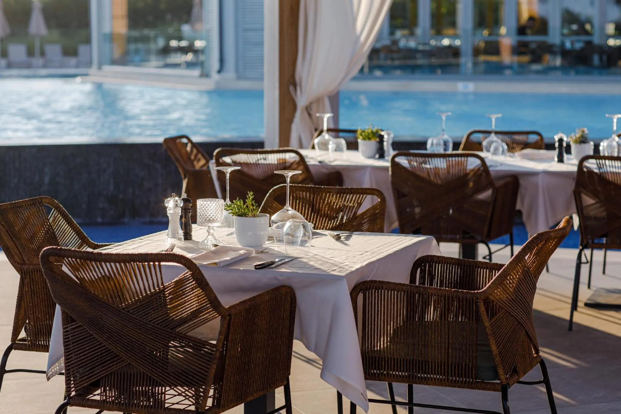 Restaurant/places to eat in Mare Ayia Napa