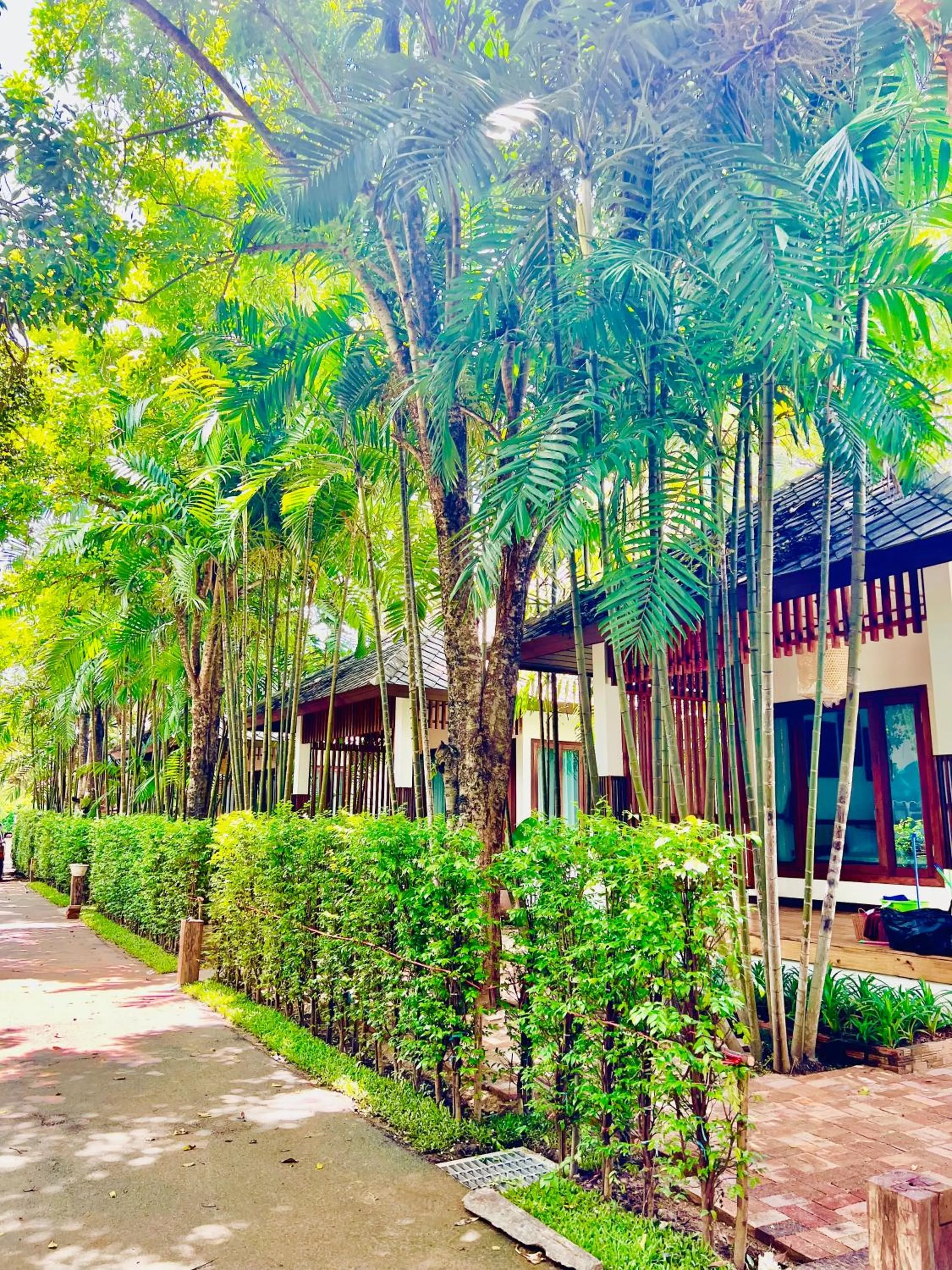 Property building in Tai Resort