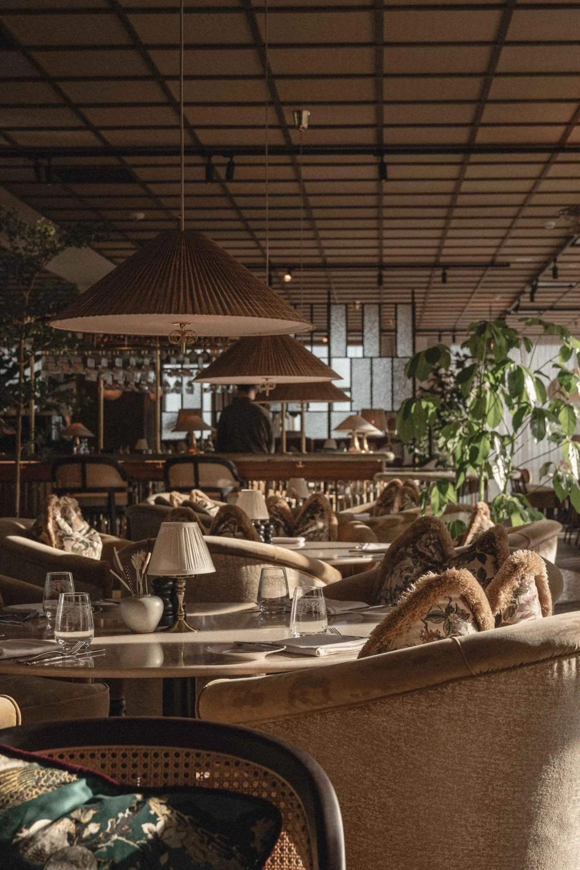 Restaurant/places to eat in Rox Resort