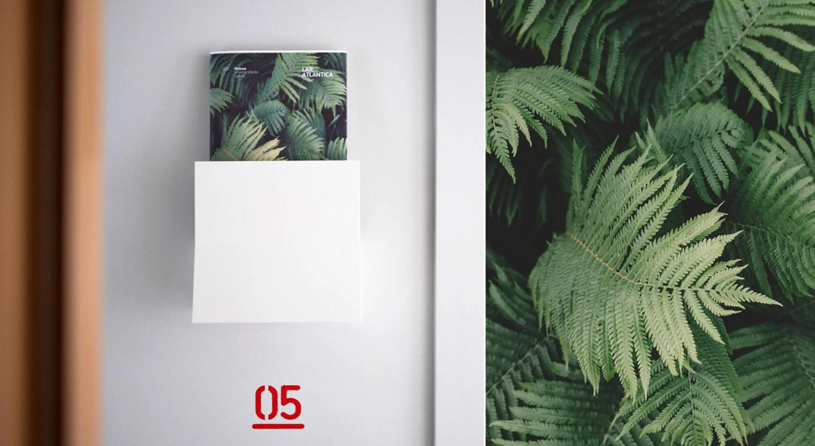 Area and facilities in Lar Atlántica