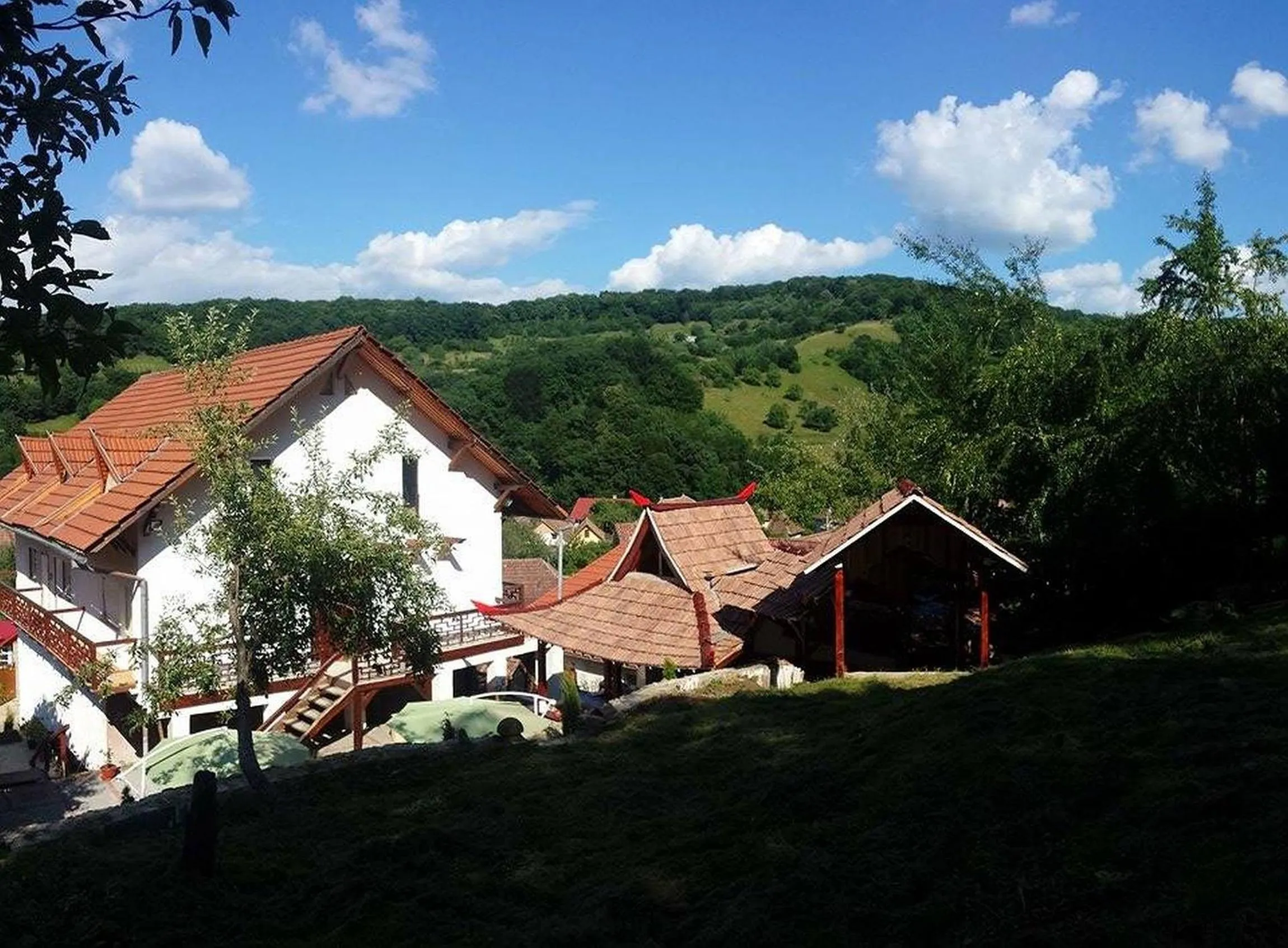 Natural landscape in Casa Lily - Japanese Retreat