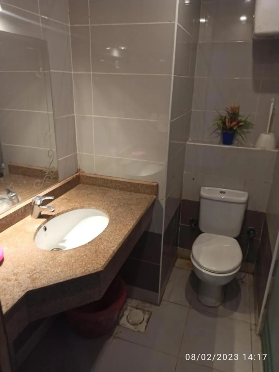 Cecelia Resort - Studio chalet