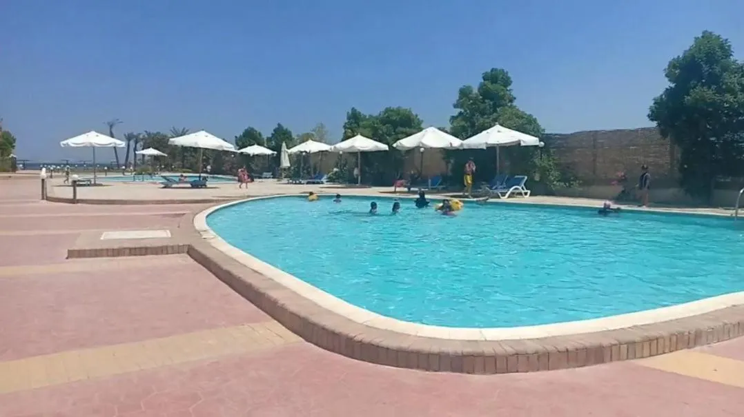 Cecelia Resort - Studio chalet