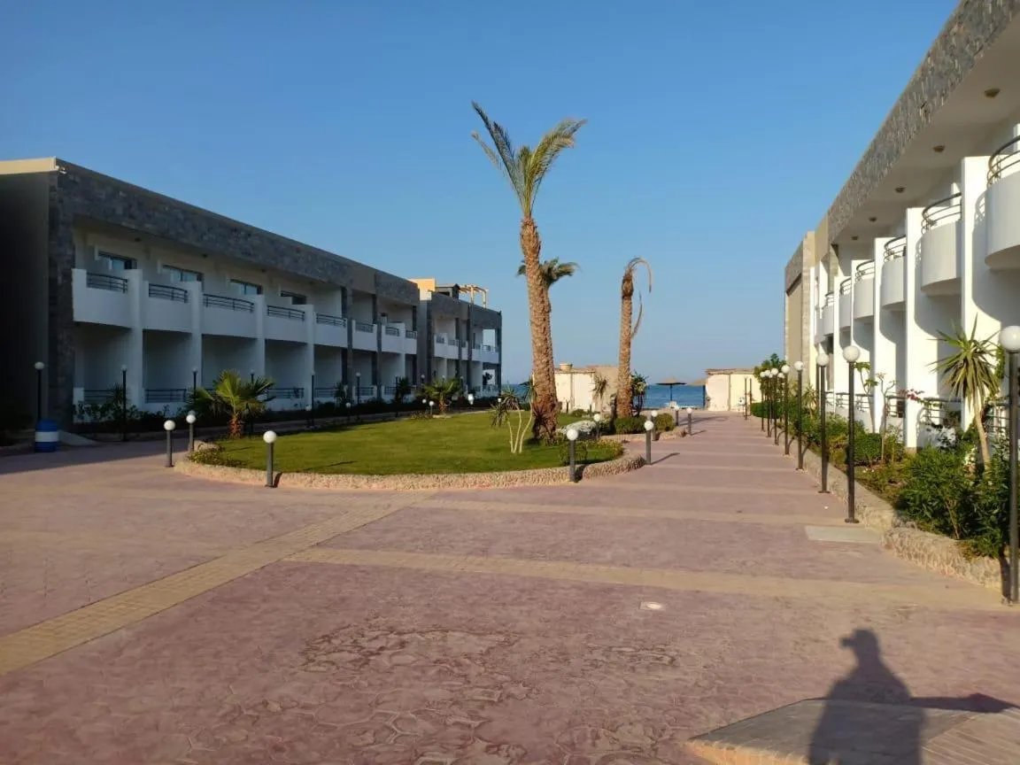 Cecelia Resort - Studio chalet