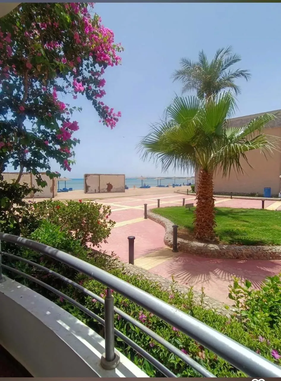 Cecelia Resort - Studio chalet