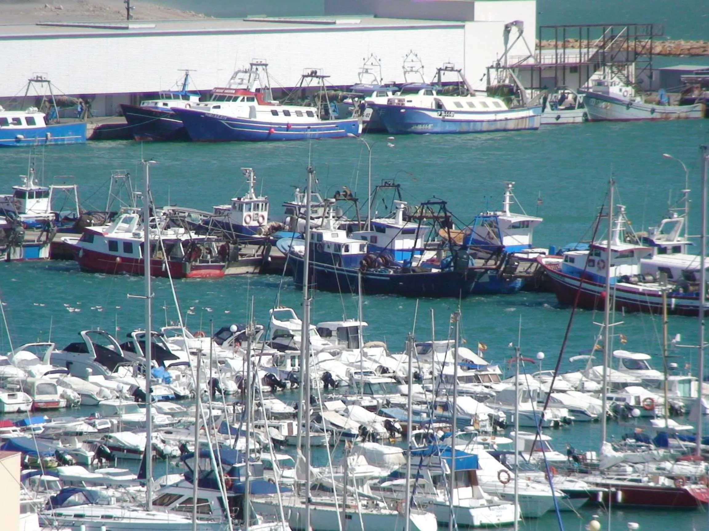 Area and facilities in Hotel del Port