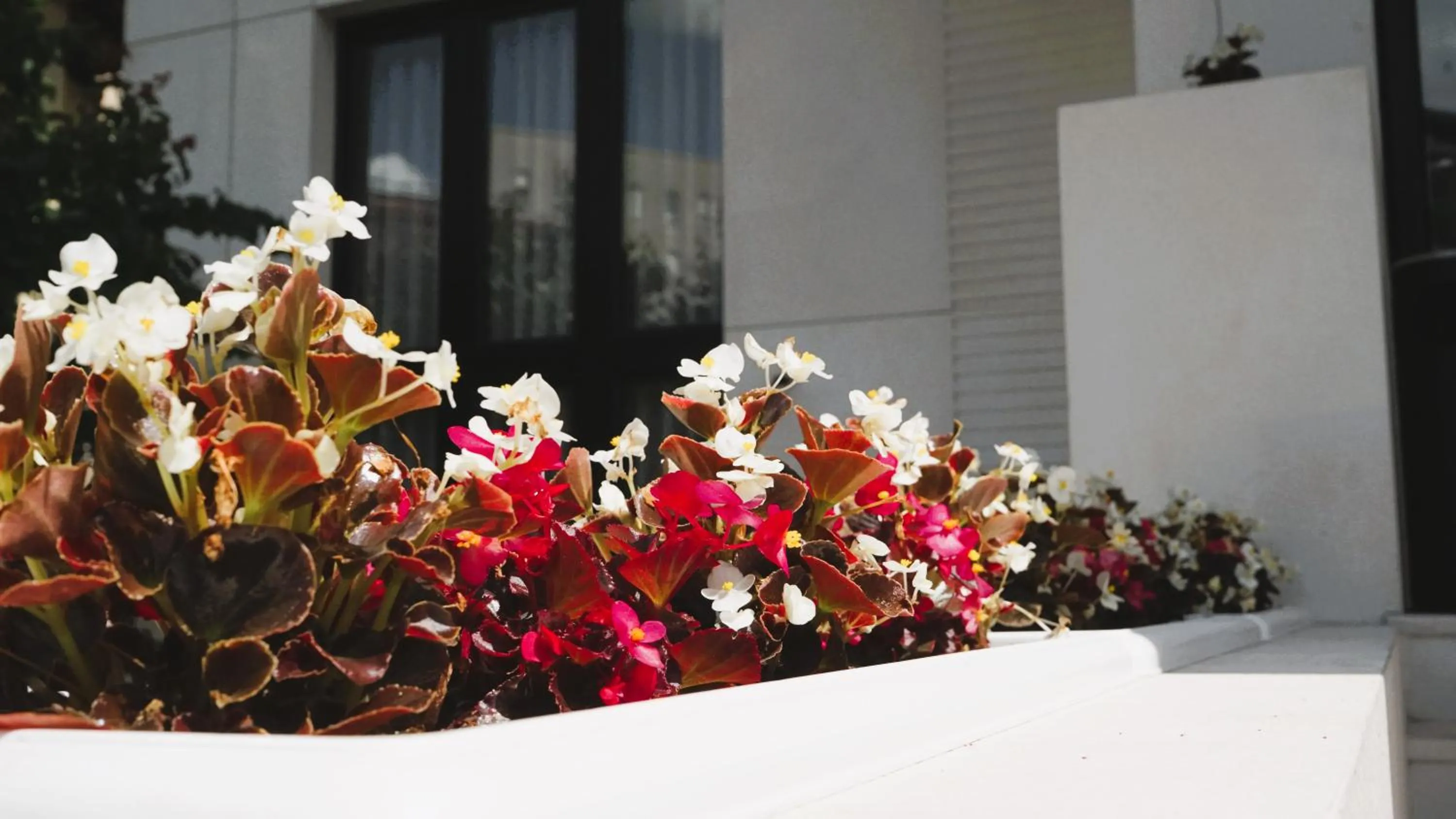 Spring in Arbnor Boutique Hotel