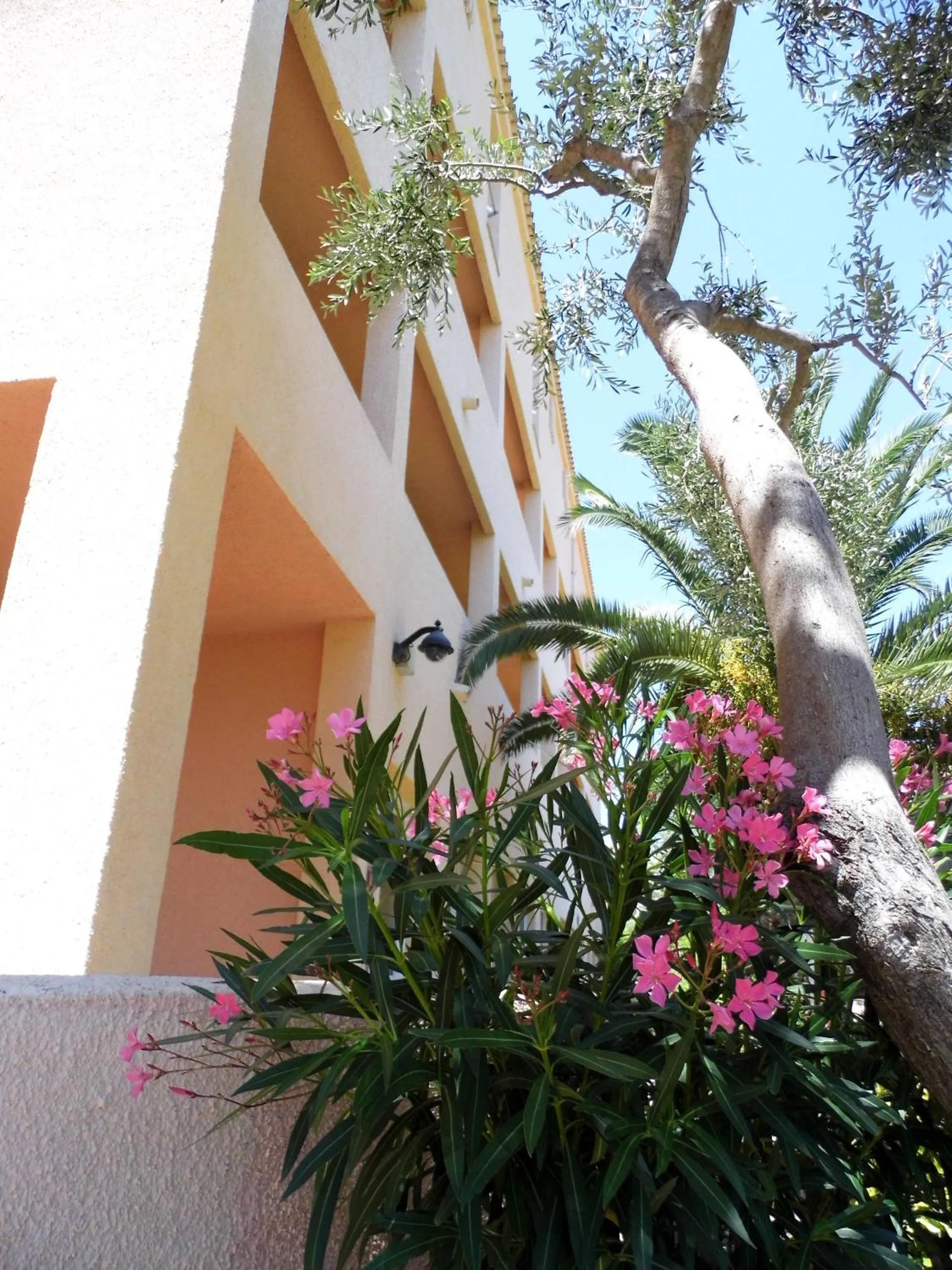 Property building in Le Nereidi Hotel & Residence