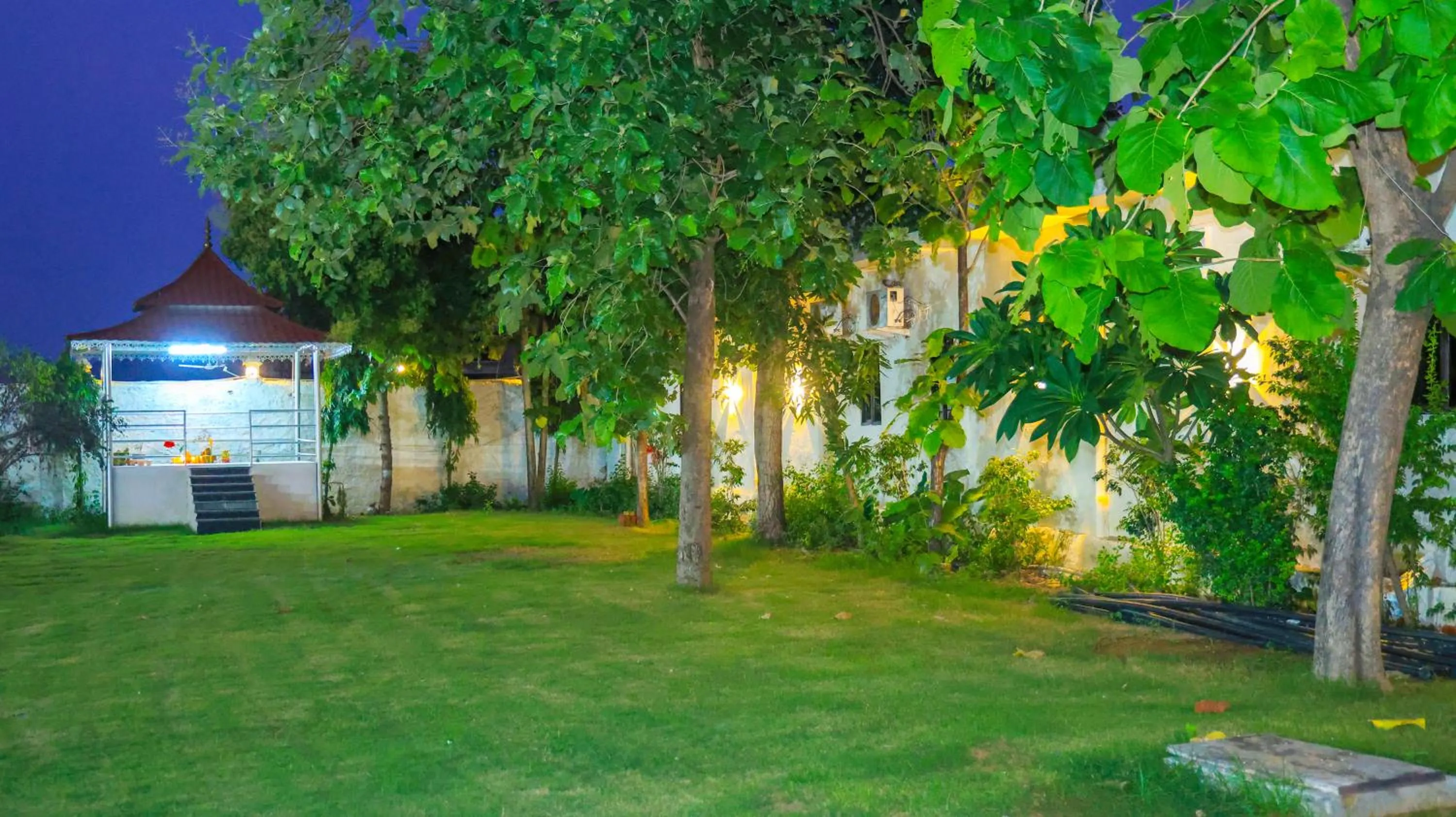 Garden in The Lala Hotel and Resort