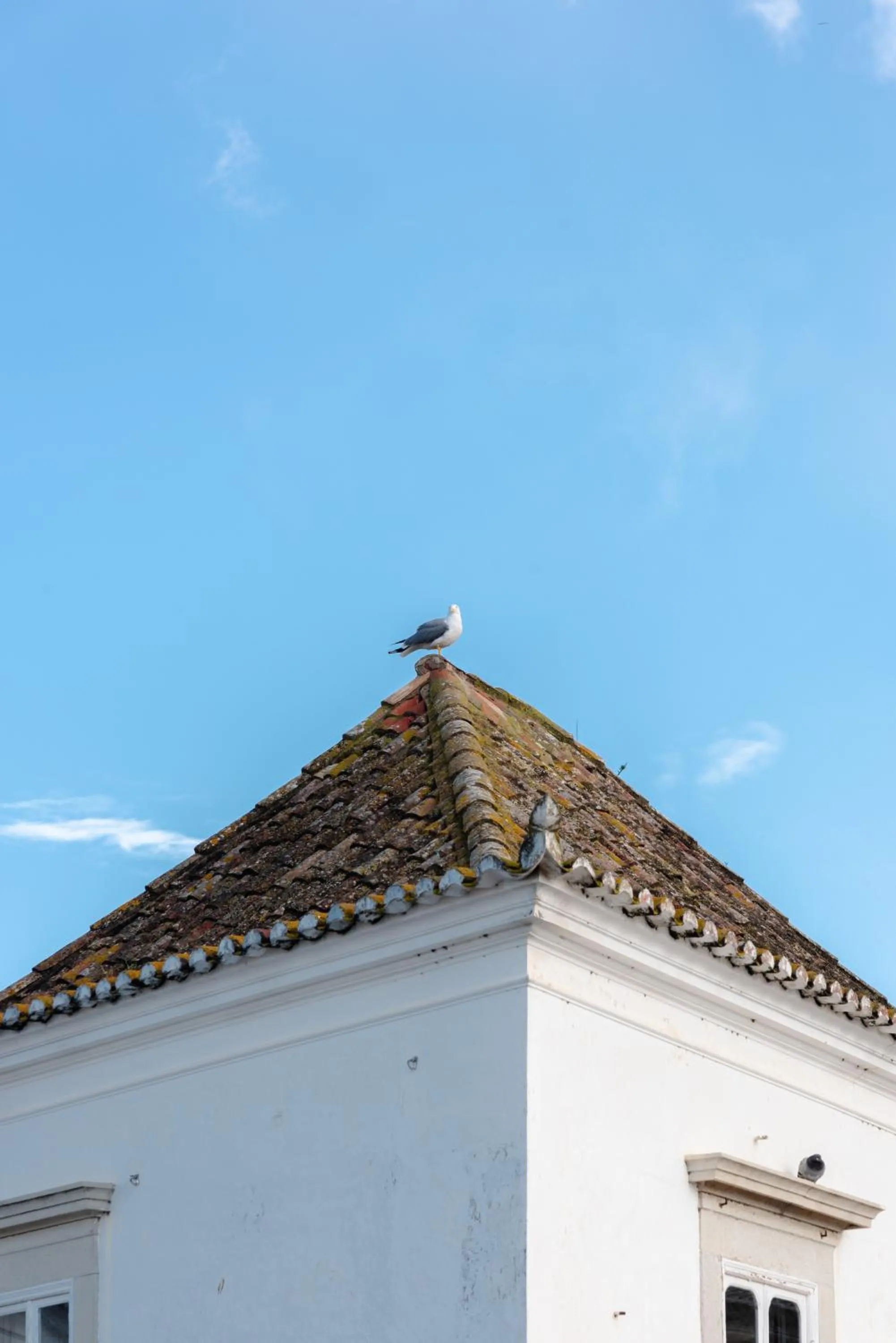 Other in Palácio de Tavira, a Small Luxury Hotel of the World