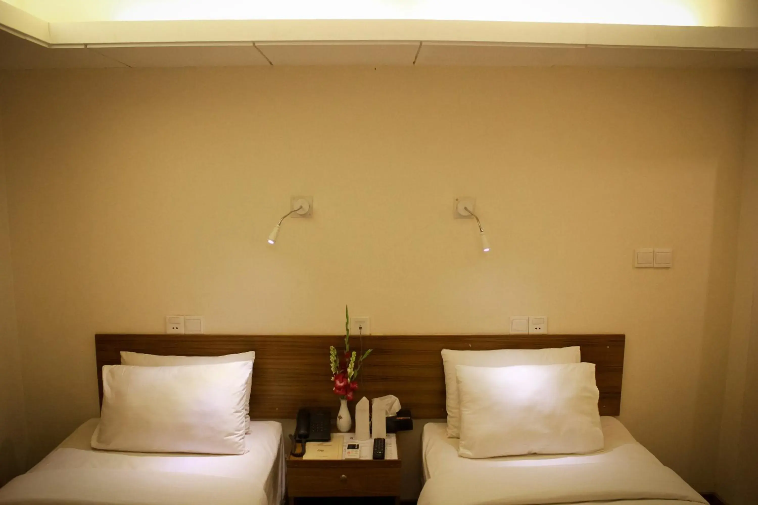 Superior Twin Room in Hotel Ornate Superior Twin Room in Hotel Ornate