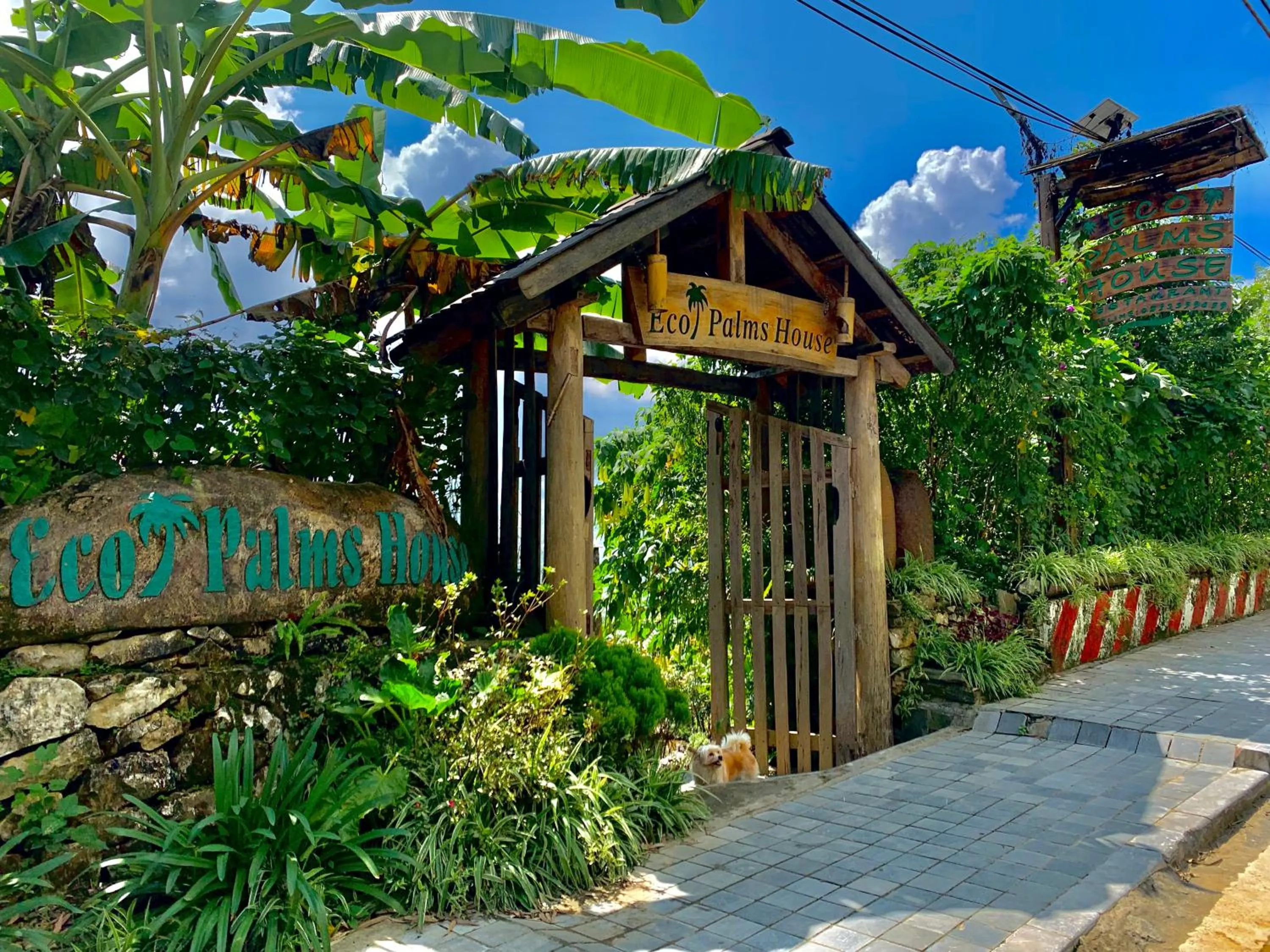 Eco Palms House - Sapa Retreat