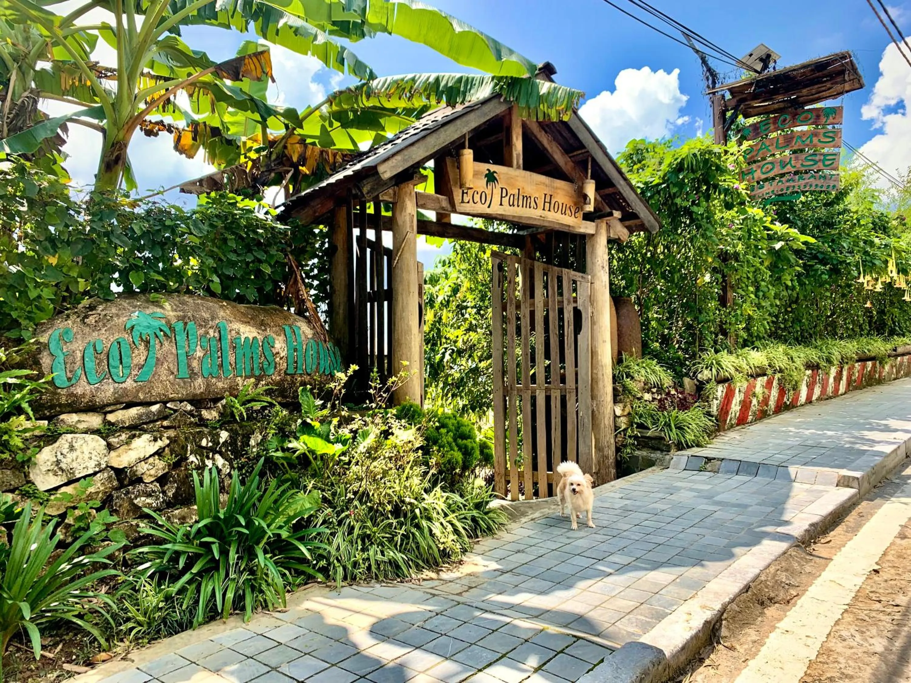 Eco Palms House - Sapa Retreat