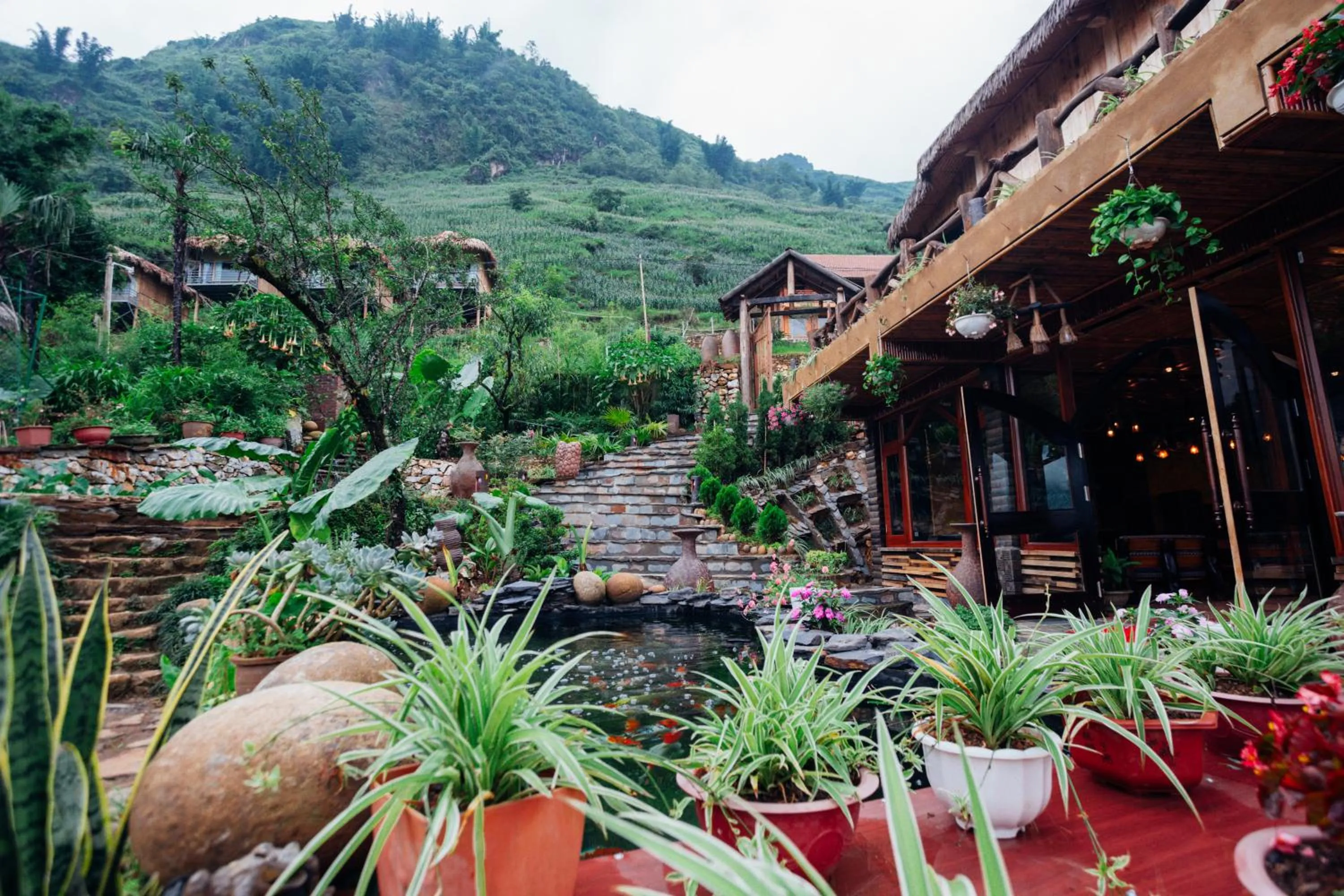 View (from property/room) in Eco Palms House - Sapa Retreat