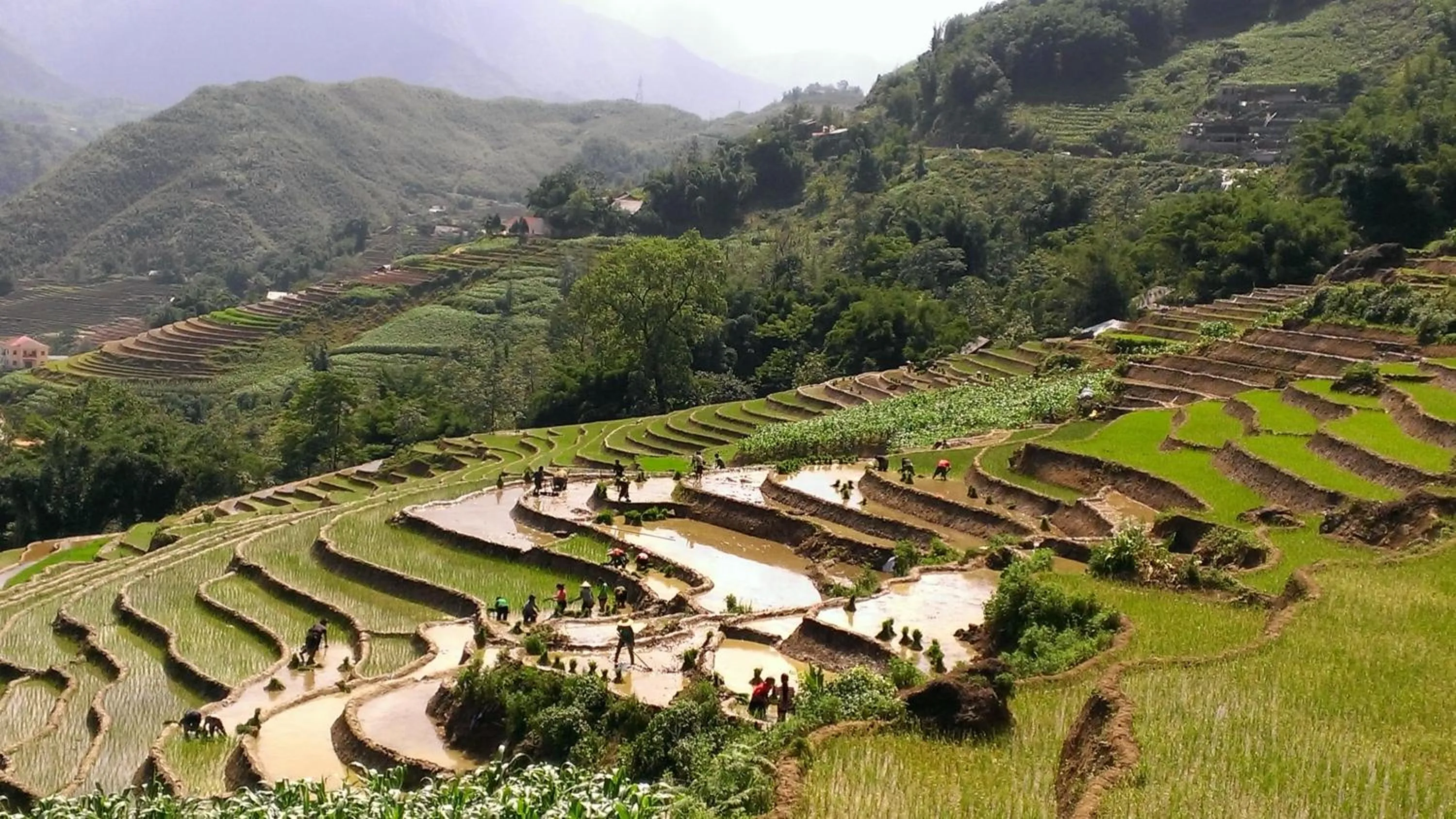 Other in Eco Palms House - Sapa Retreat
