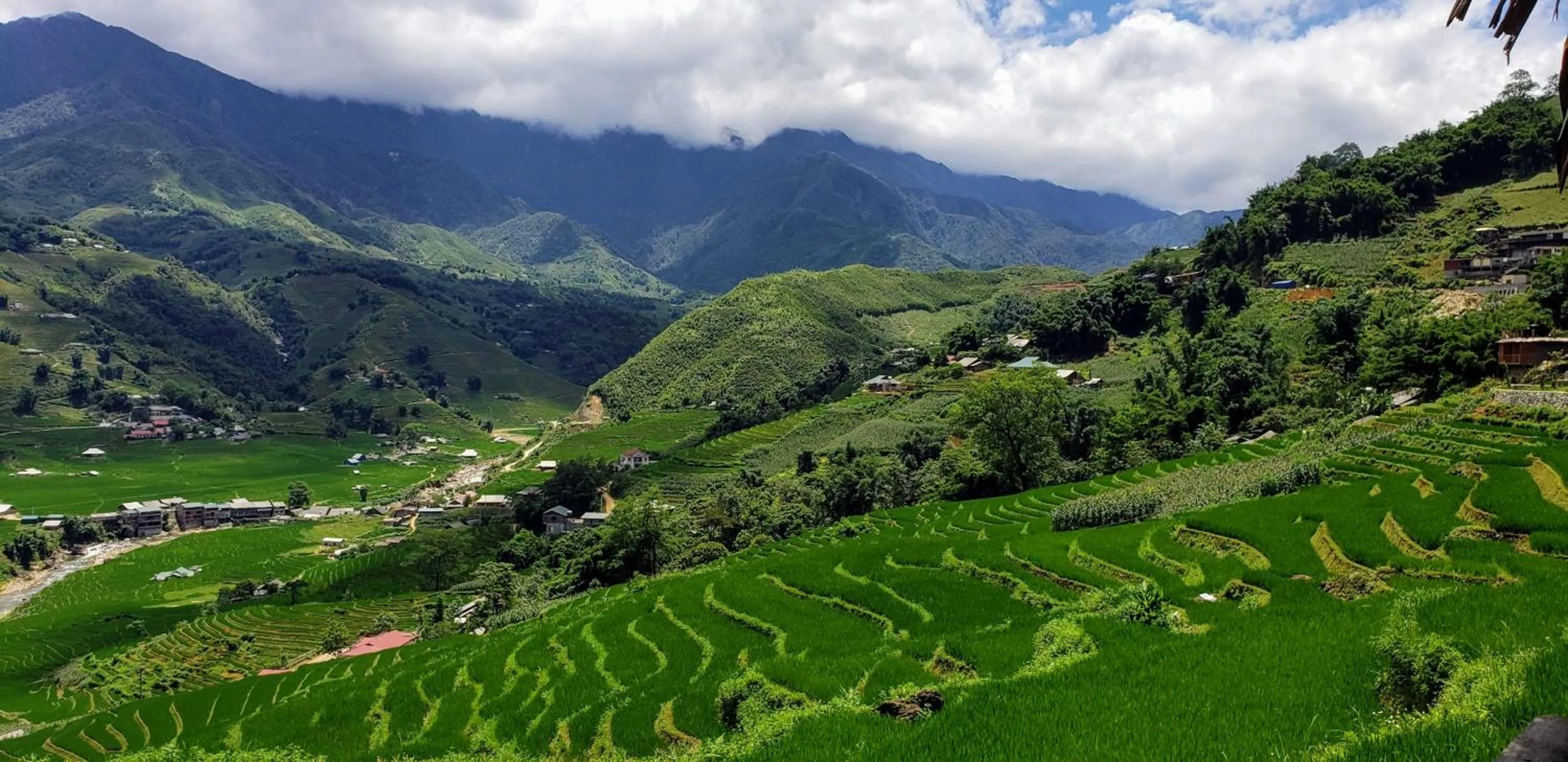Natural landscape in Eco Palms House - Sapa Retreat
