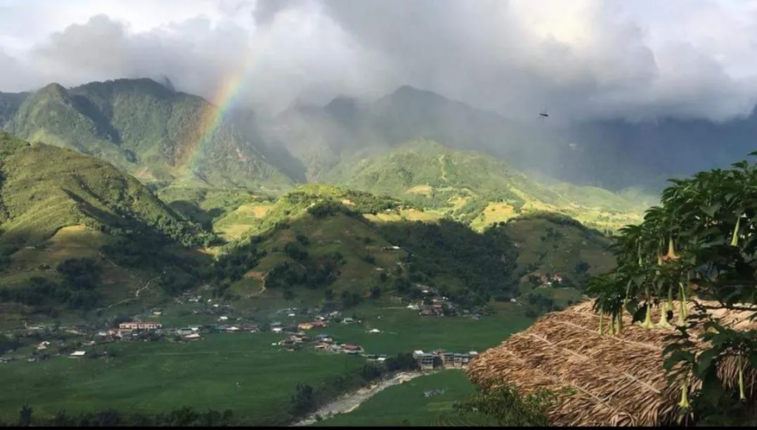 Natural landscape in Eco Palms House - Sapa Retreat