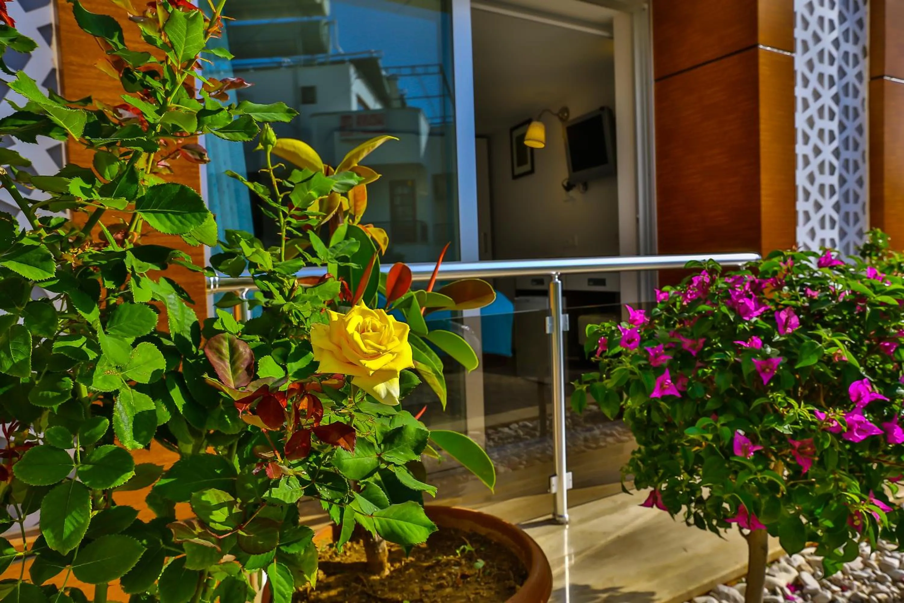 Facade/entrance in Hotel Sonne - Adults Only