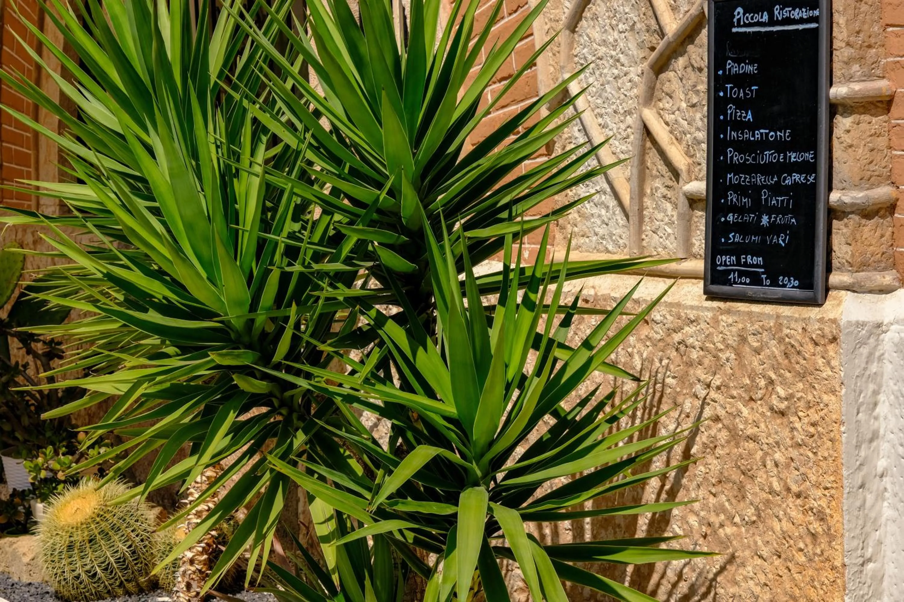 Garden in Hotel Bellevue