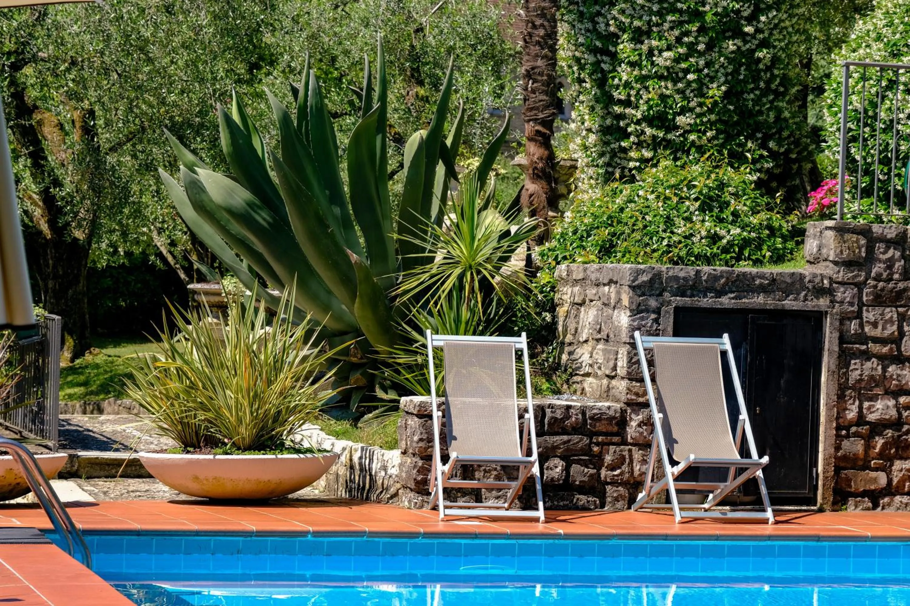 Garden in Hotel Bellevue