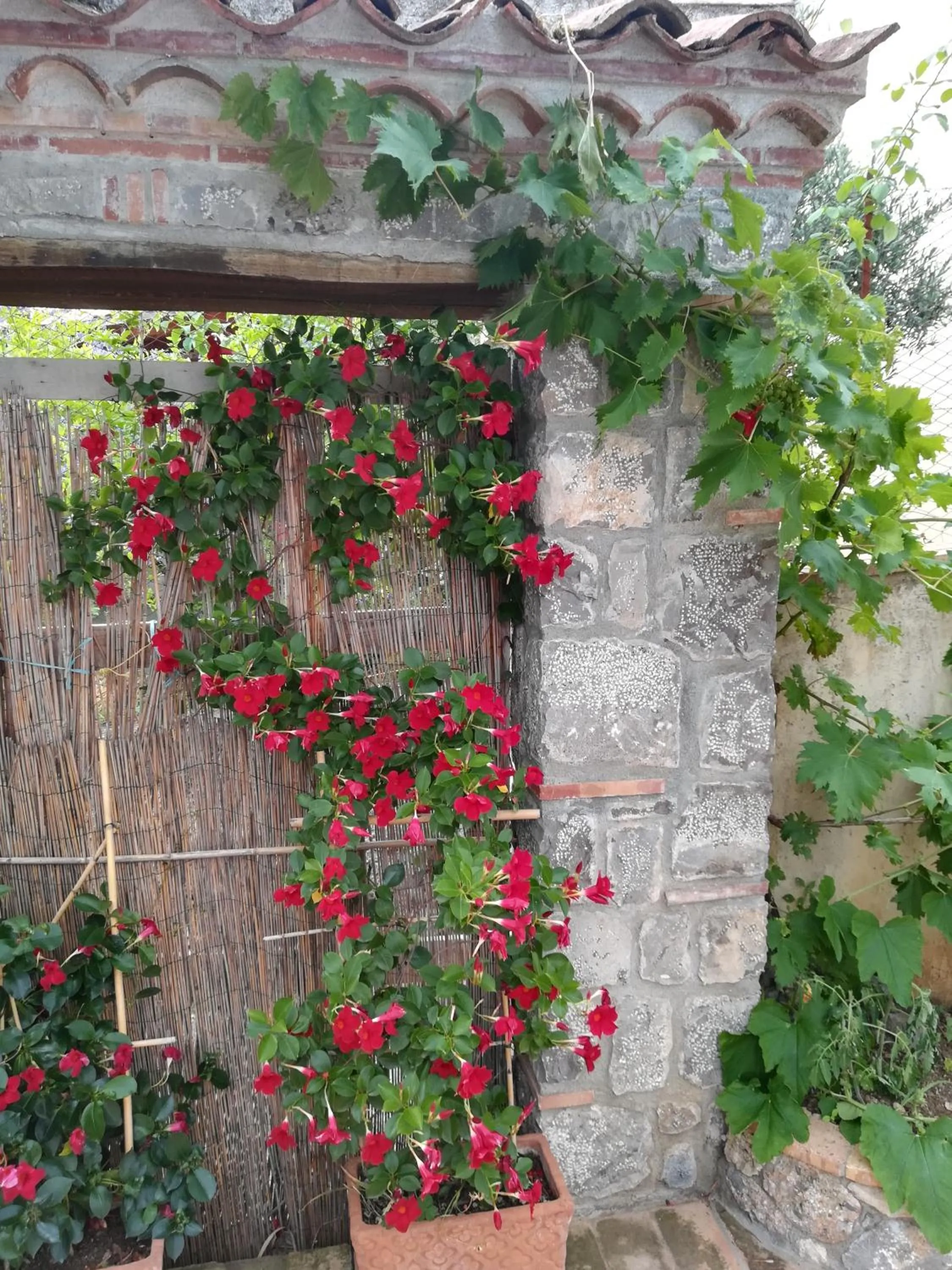 Garden in B&b La Giara
