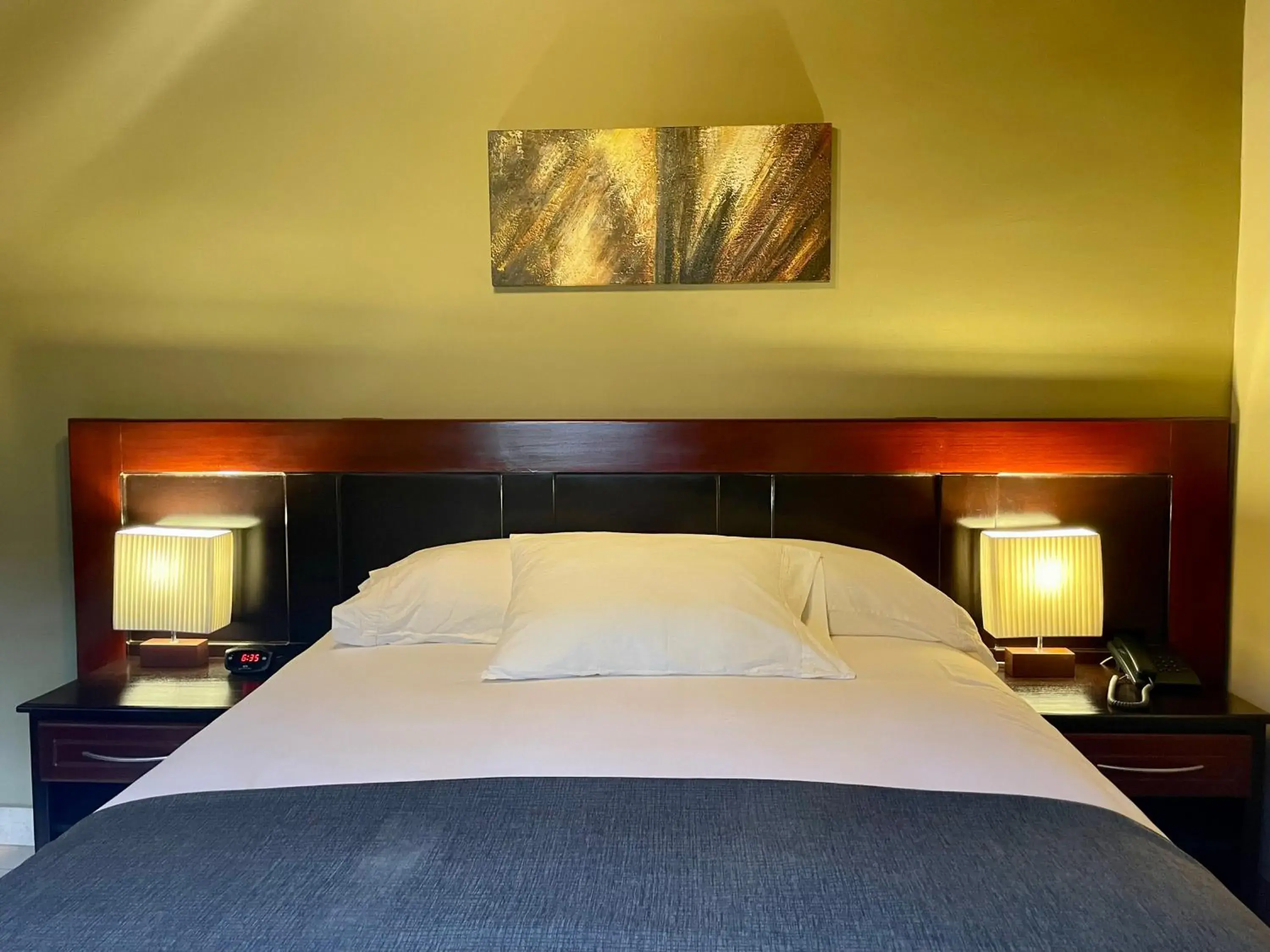 Standard Queen Room in Sofia's B&B Hostal Boutique Standard Queen Room in Sofia's B&B Hostal Boutique